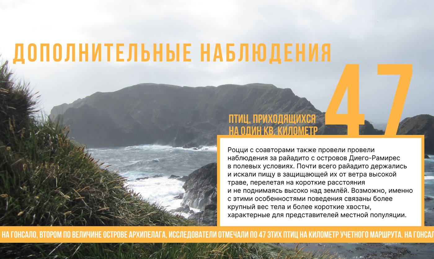 Лендинг/лонгрид для научного сайта — Изображение №15 — Графика, Анимация на Dprofile