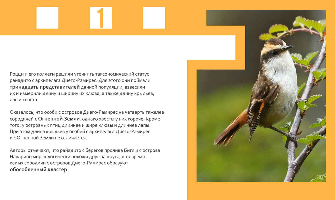 Лендинг/лонгрид для научного сайта — Изображение №12 — Графика, Анимация на Dprofile