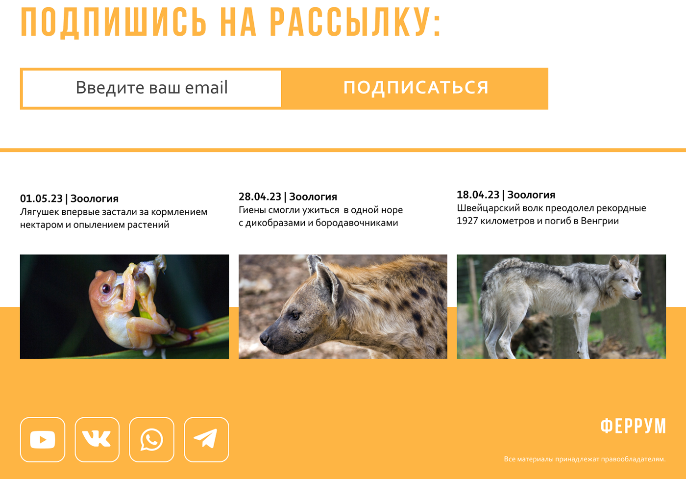 Лендинг/лонгрид для научного сайта — Изображение №19 — Графика, Анимация на Dprofile