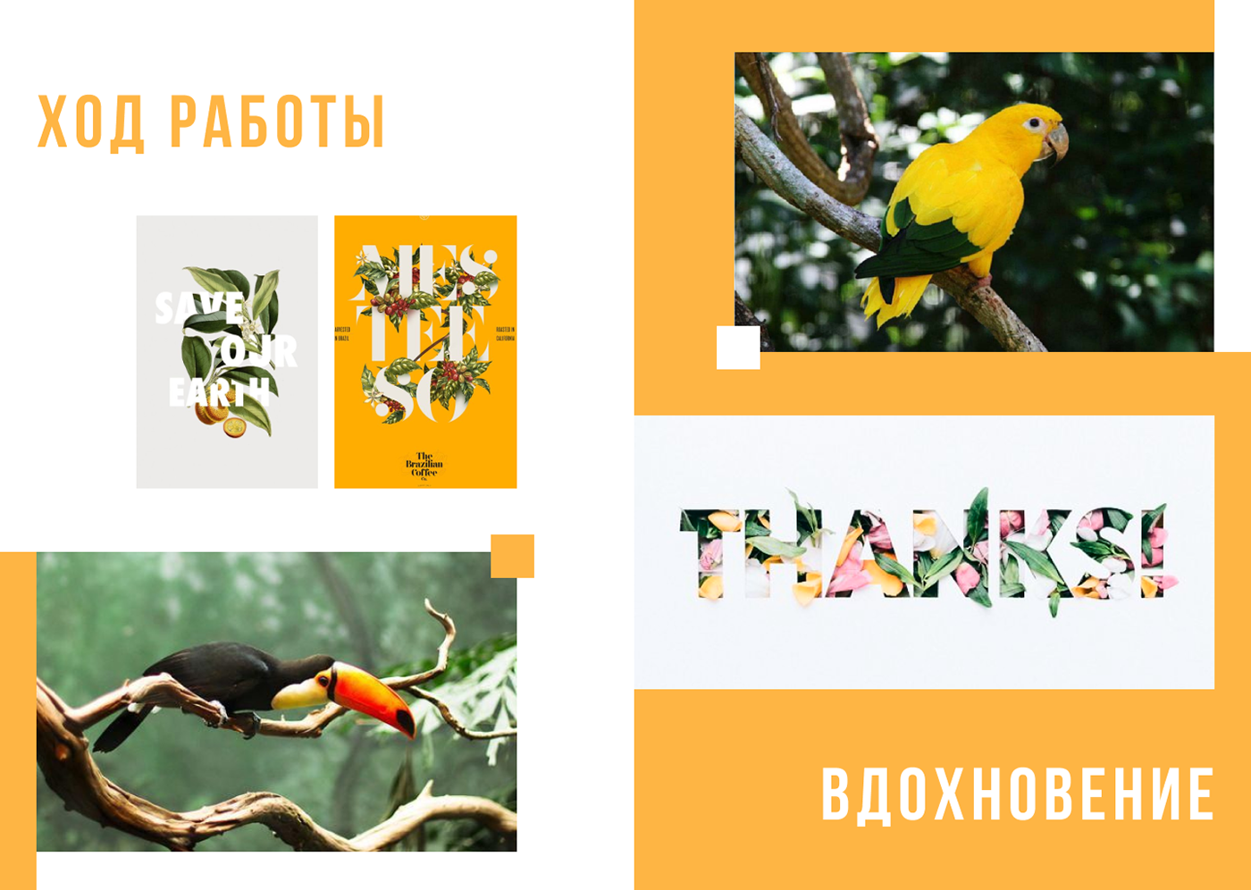 Лендинг/лонгрид для научного сайта — Изображение №3 — Графика, Анимация на Dprofile