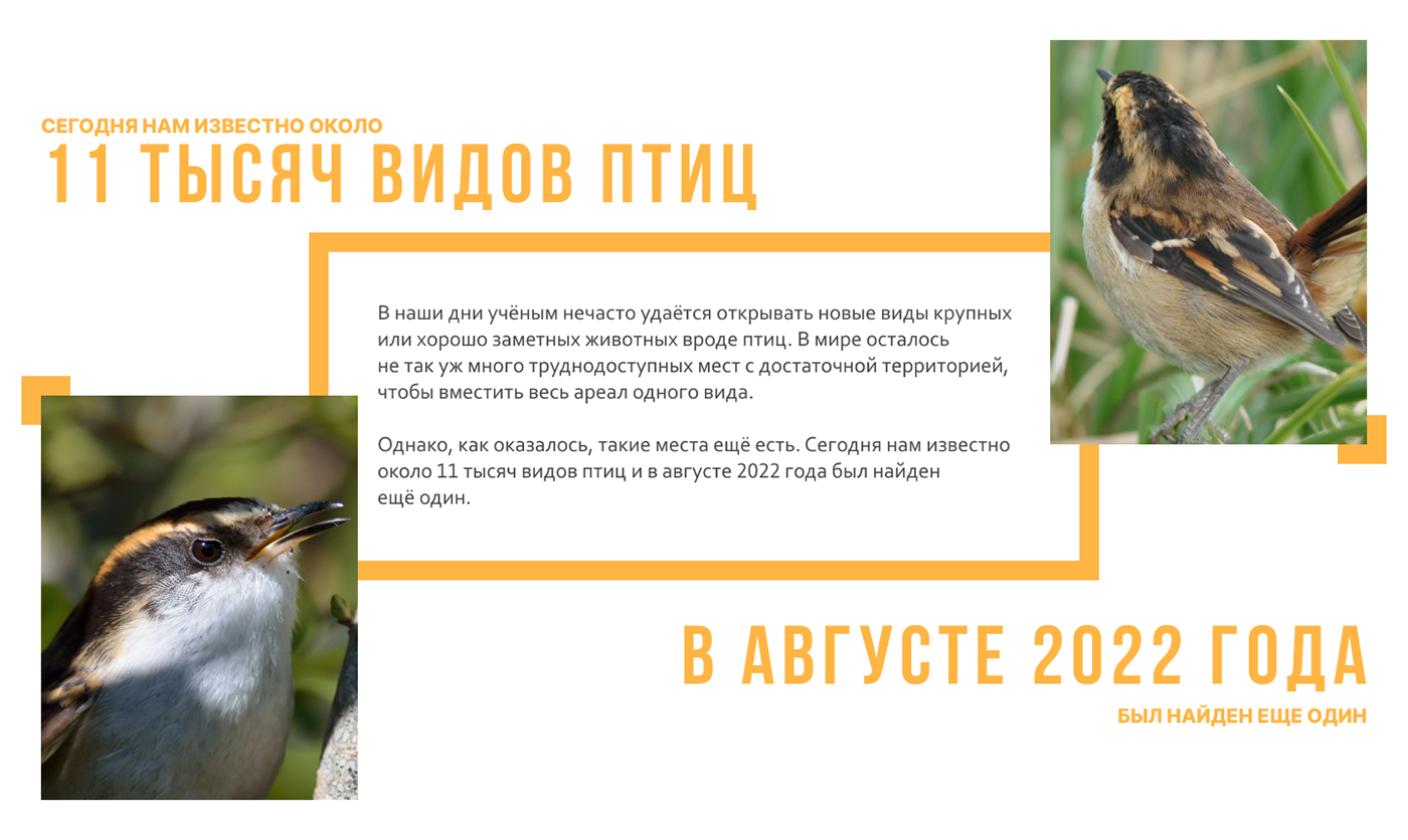 Лендинг/лонгрид для научного сайта — Изображение №6 — Графика, Анимация на Dprofile