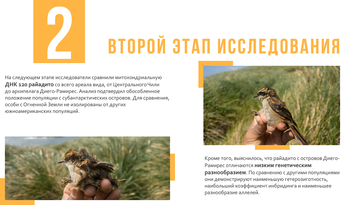 Лендинг/лонгрид для научного сайта — Изображение №14 — Графика, Анимация на Dprofile
