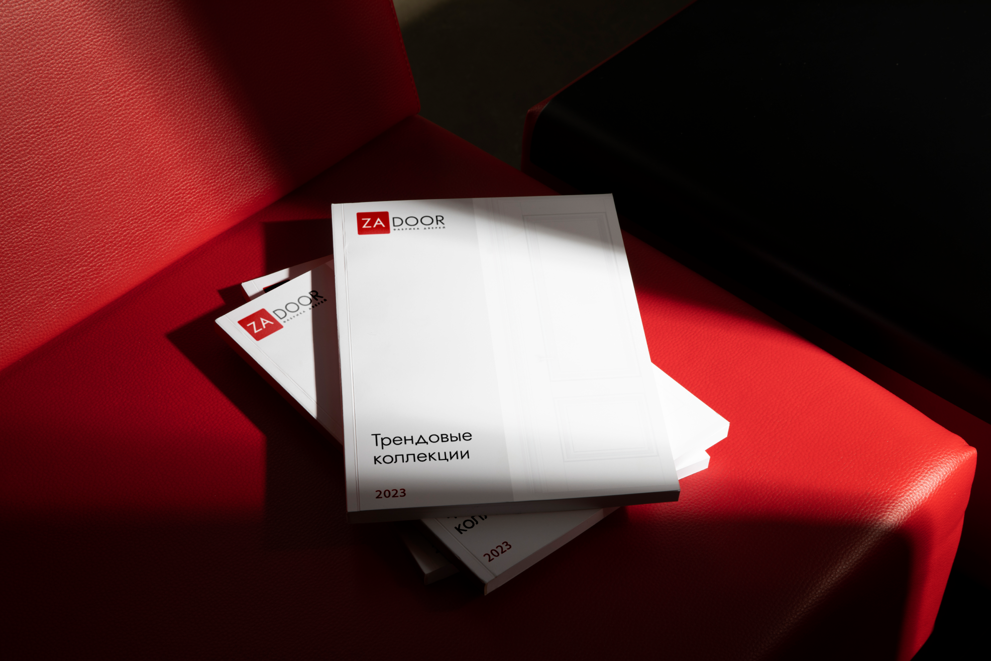 ZADOOR — редизайн фабрики дверей — Изображение №14 — Брендинг, Графика на Dprofile