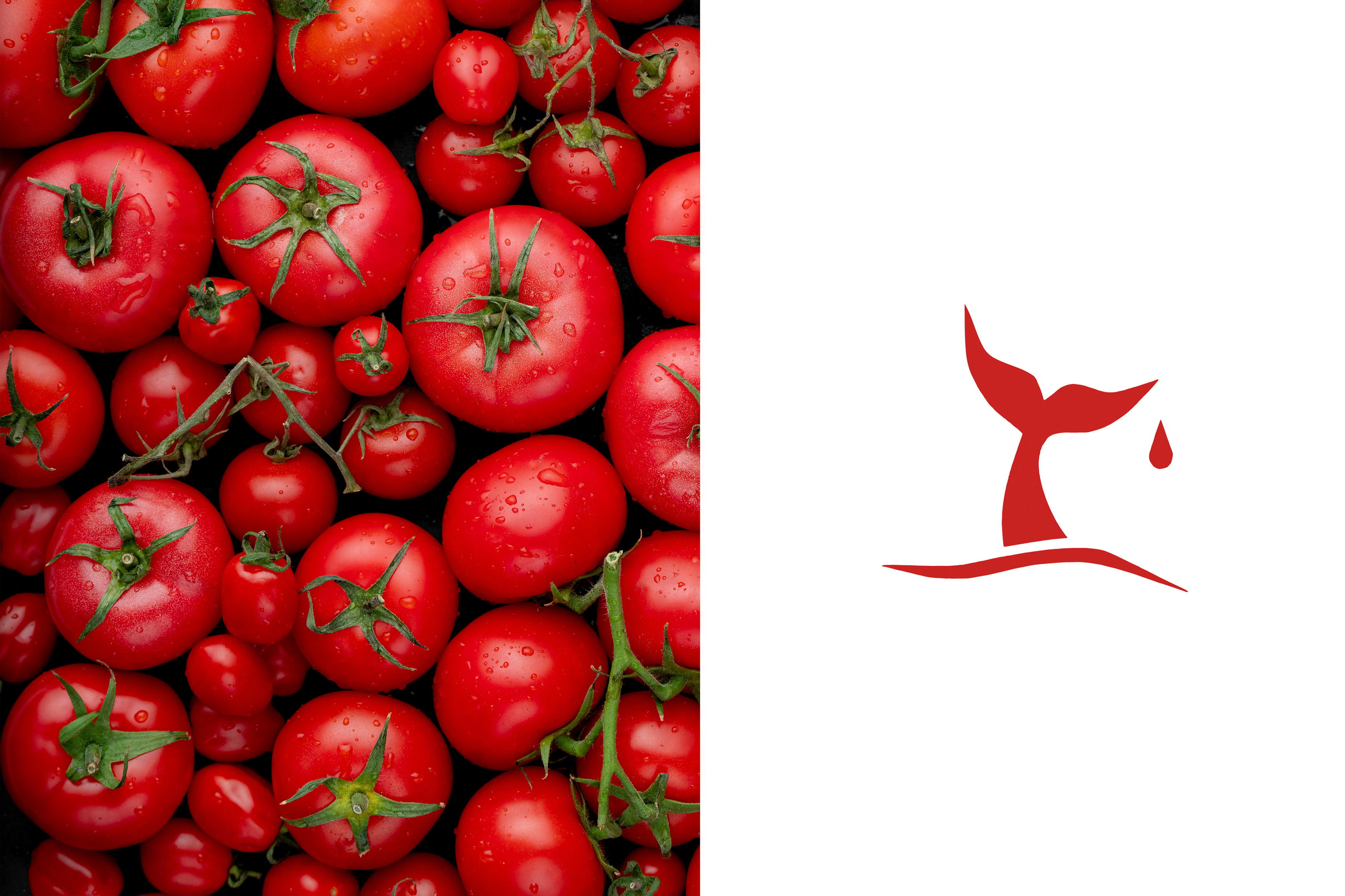 Фирменный стиль и упаковка для MARINARA — Изображение №8 — Брендинг, Графика на Dprofile