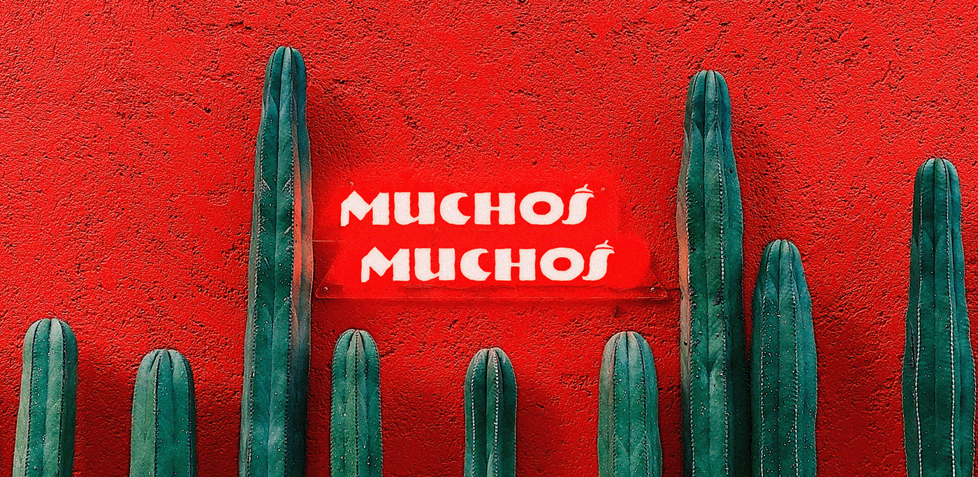 MUCHOS — Изображение №11 — Брендинг, Графика на Dprofile