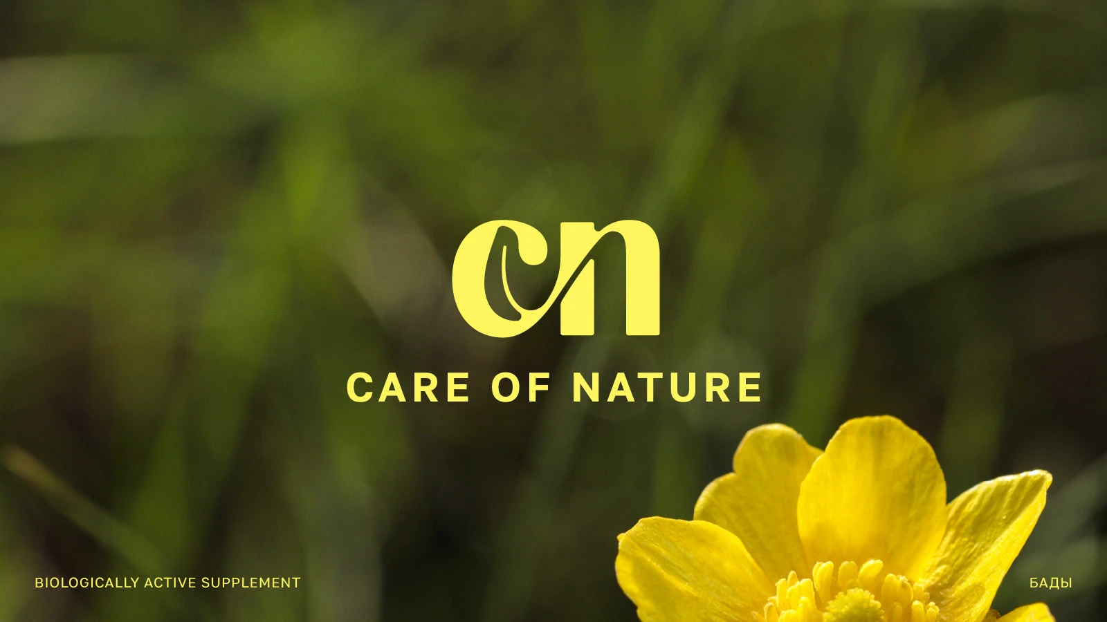 Логофолио Logofolio — Изображение №1 — Брендинг на Dprofile