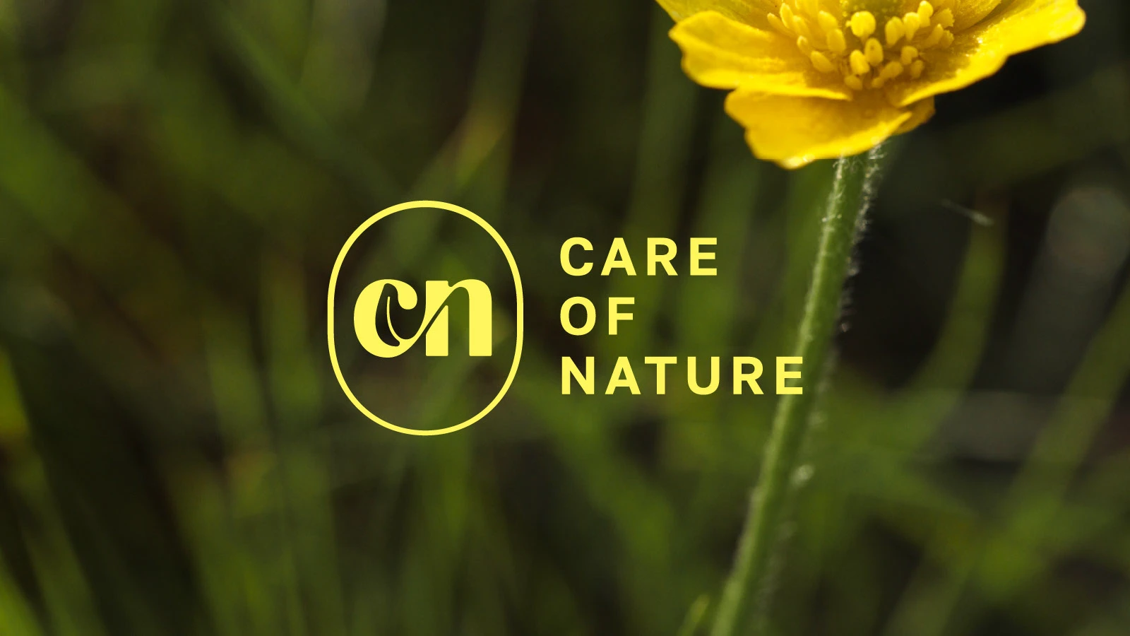 Логофолио Logofolio — Изображение №2 — Брендинг на Dprofile