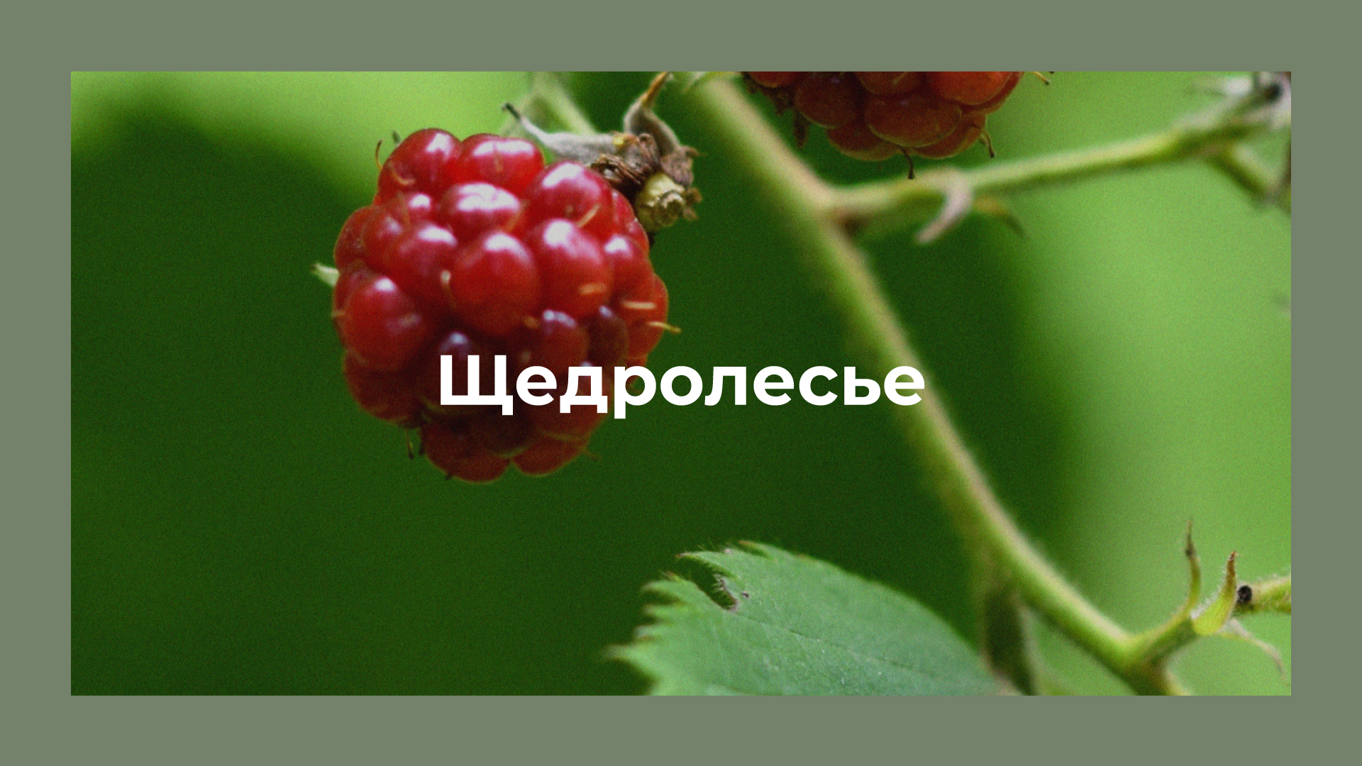 Нейминг портфолио — Изображение №26 — Брендинг на Dprofile
