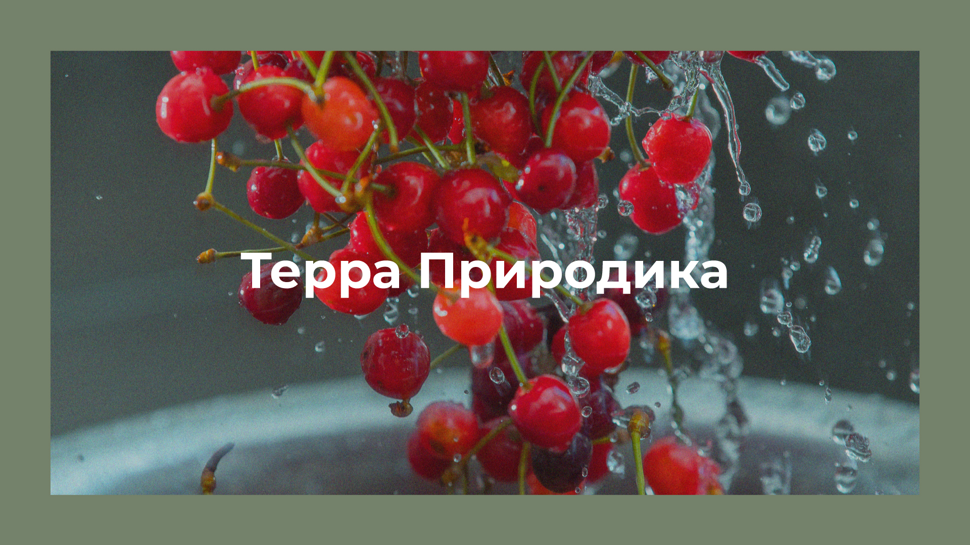 Нейминг портфолио — Изображение №28 — Брендинг на Dprofile