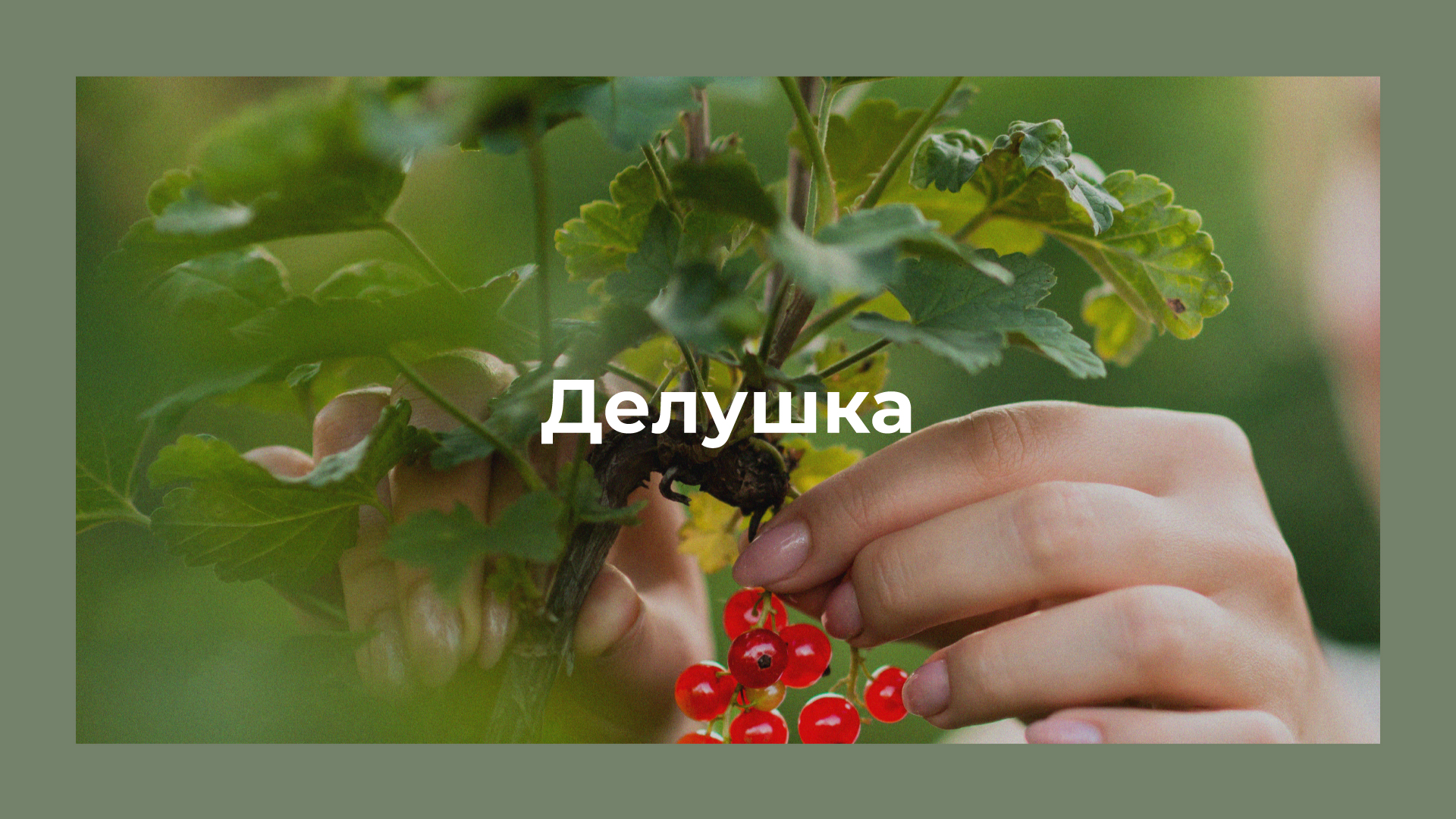 Нейминг портфолио — Изображение №30 — Брендинг на Dprofile