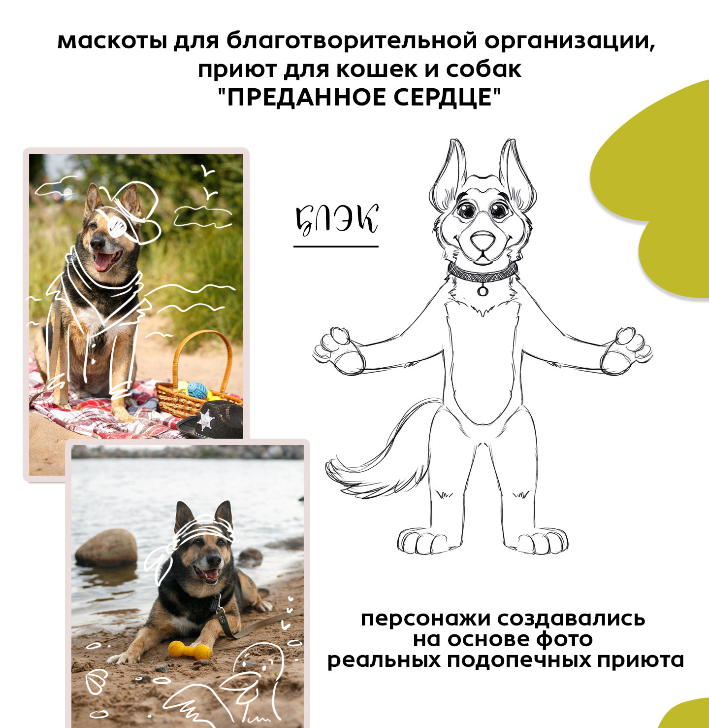 Бренд-персонажи для приюта животных — Изображение №2 — Брендинг, Иллюстрация на Dprofile