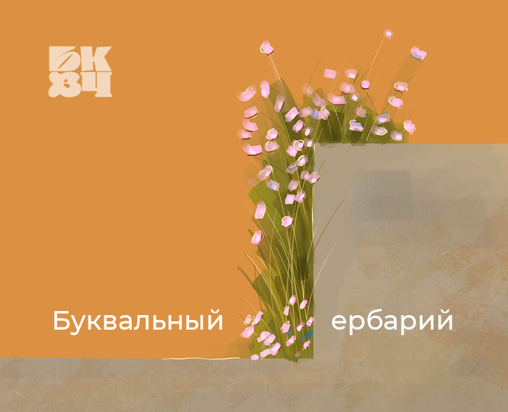 Буквальный Гербарий | Челлендж 2024 — Иллюстрация на Dprofile