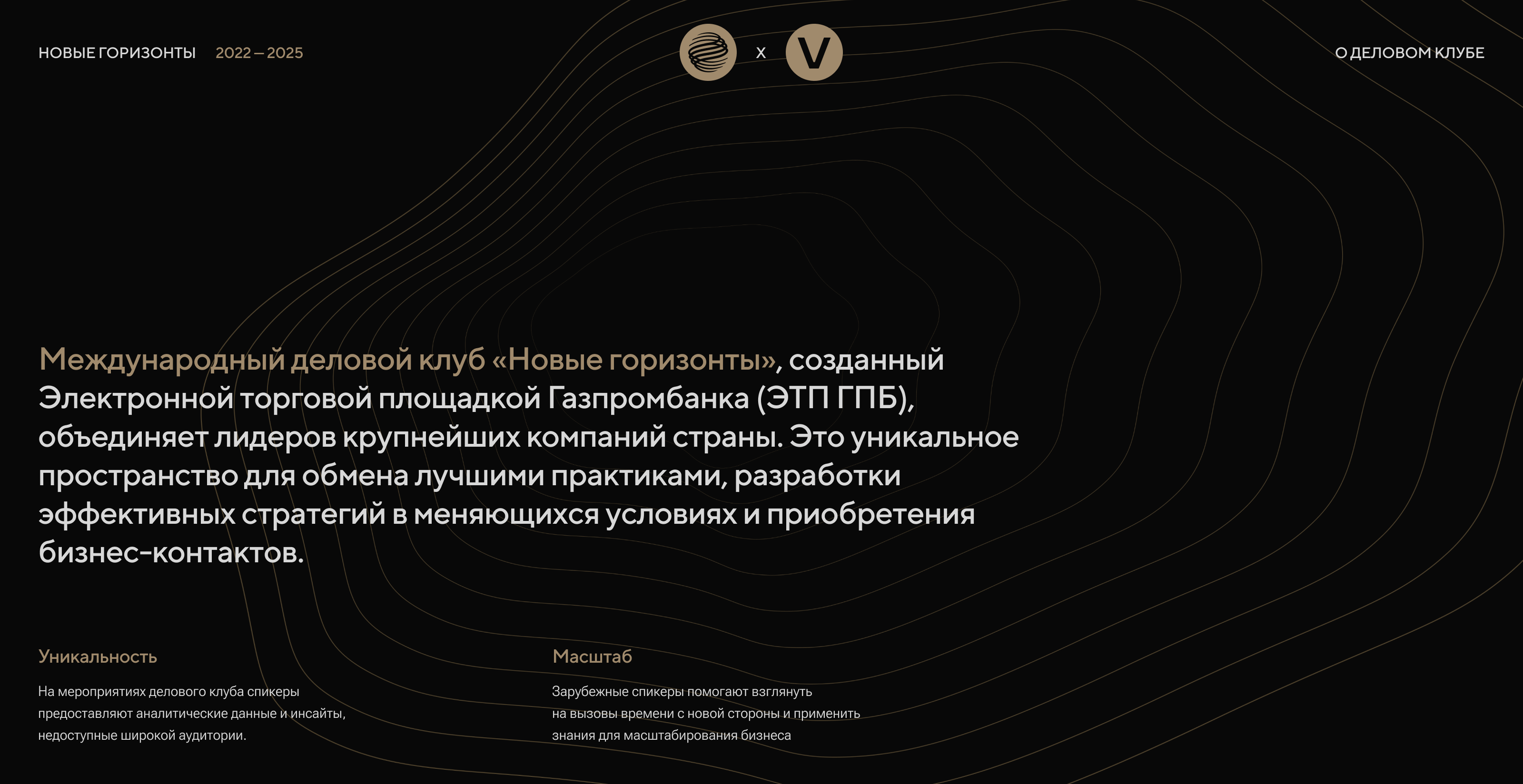 Брендинг делового клуба «Новые горизонты» — Изображение №1 — Интерфейсы, Брендинг на Dprofile