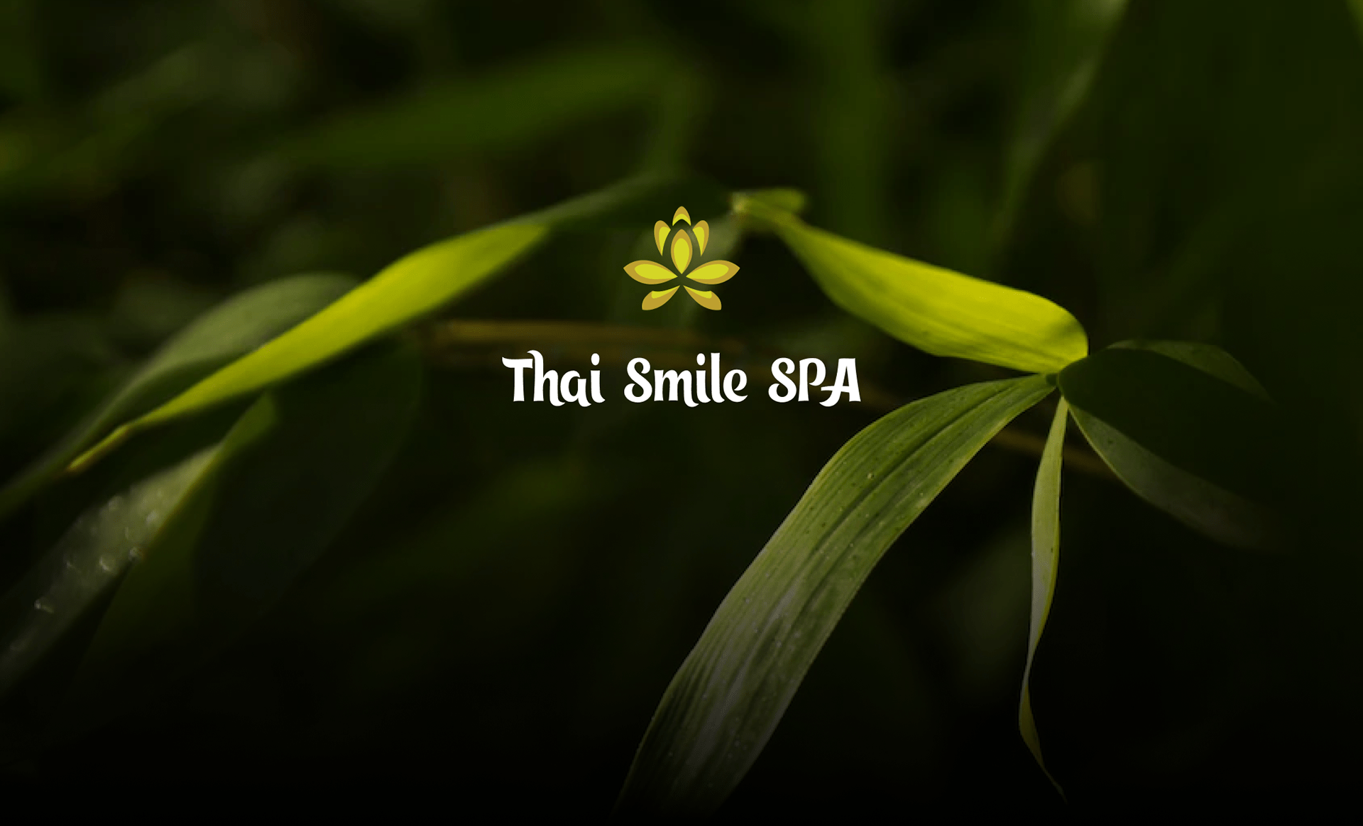 Thai Smile Spa | Веб-дизайн — Изображение №12 — Интерфейсы, Брендинг на Dprofile