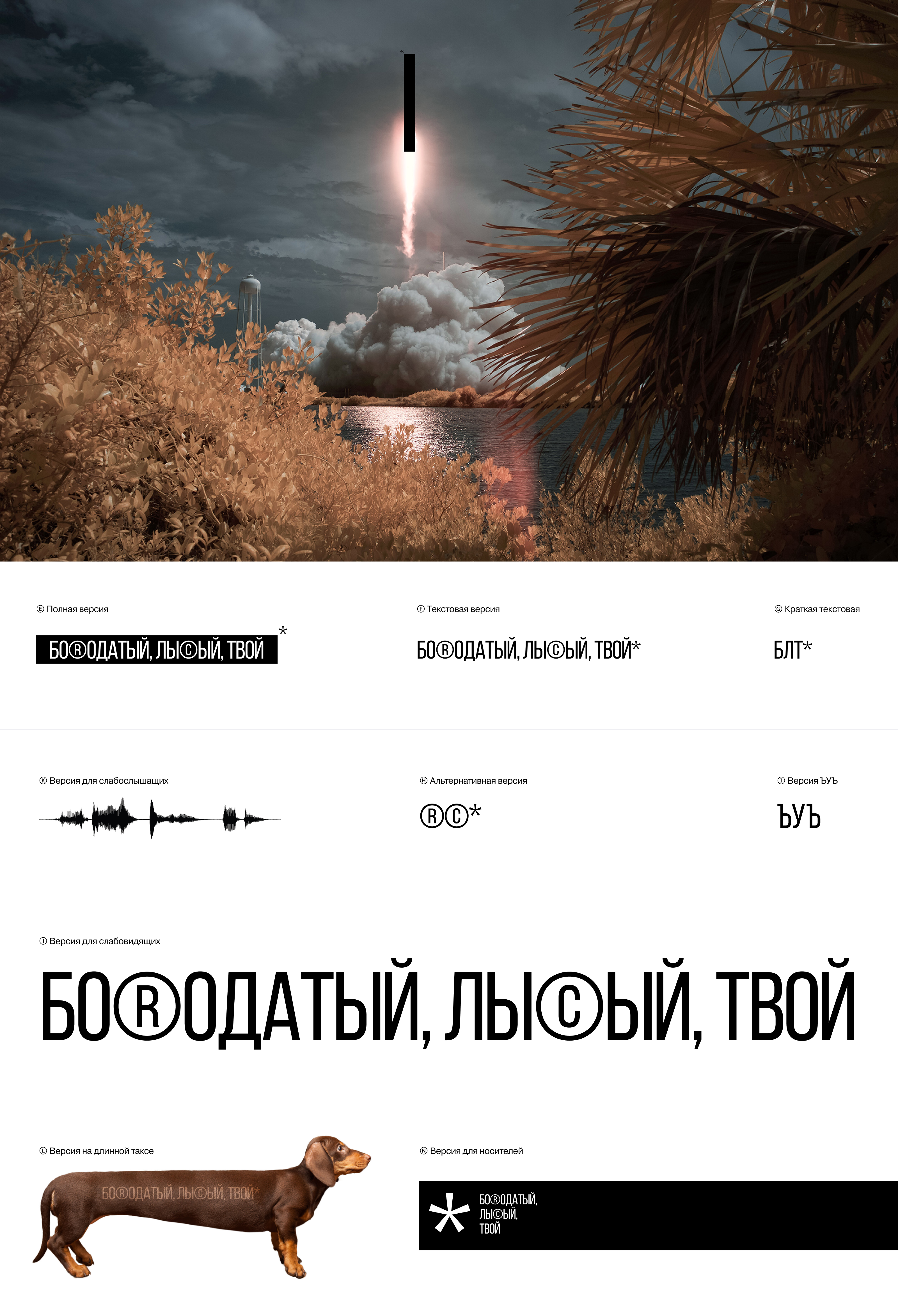 Бородатый, лысый, твой — Изображение №8 — Брендинг, Маркетинг на Dprofile