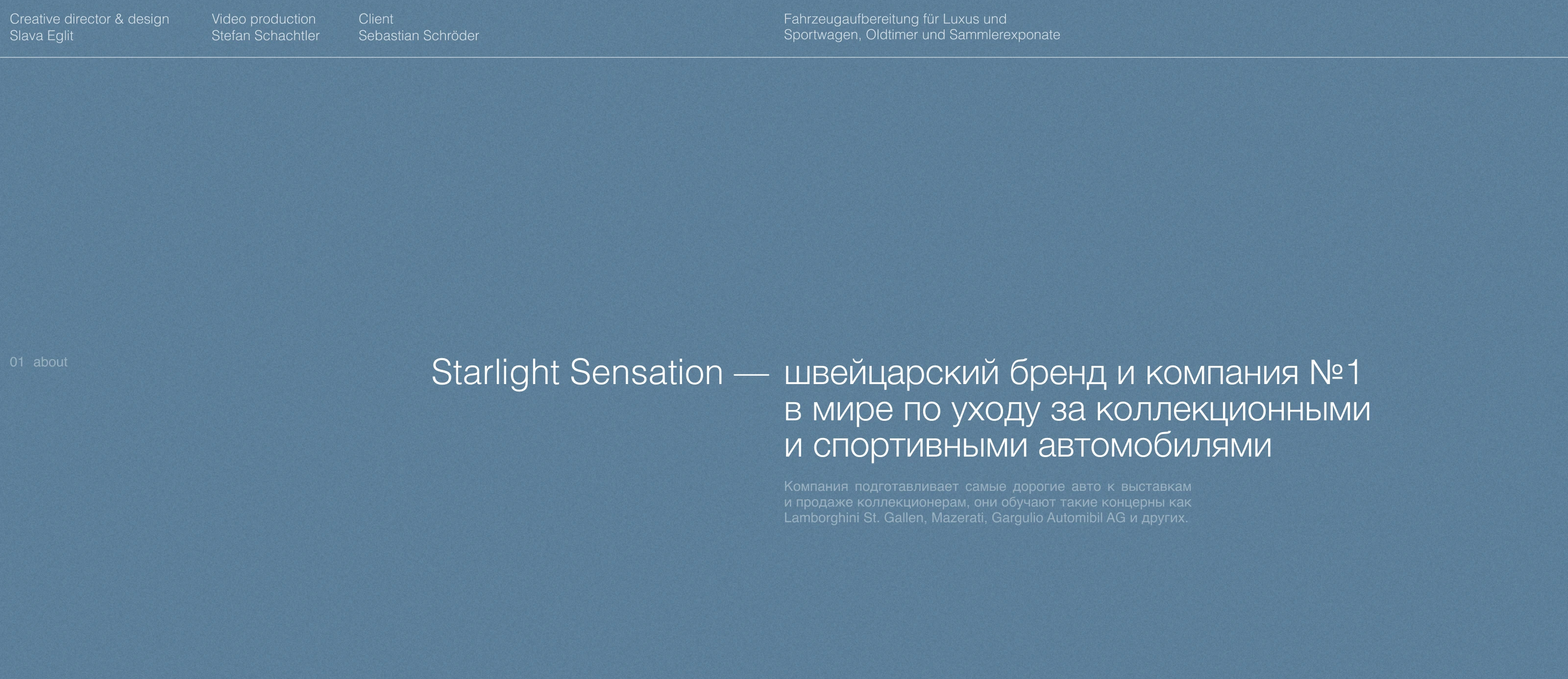 Starlight Sensation / Car Detailing — Изображение №1 — Брендинг, Маркетинг на Dprofile