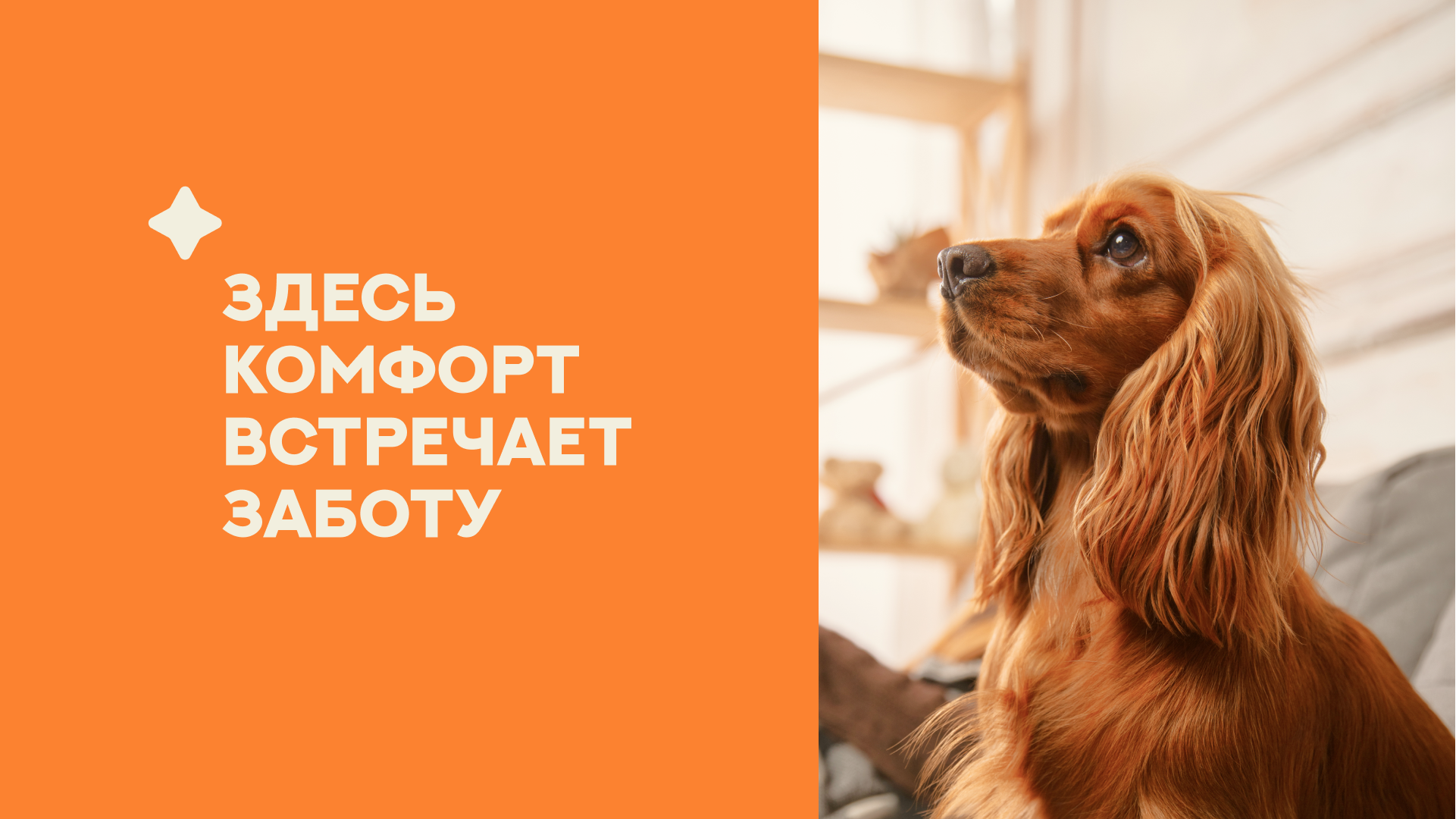 Vira | Логотип и фирменный стиль — Изображение №8 — Брендинг на Dprofile