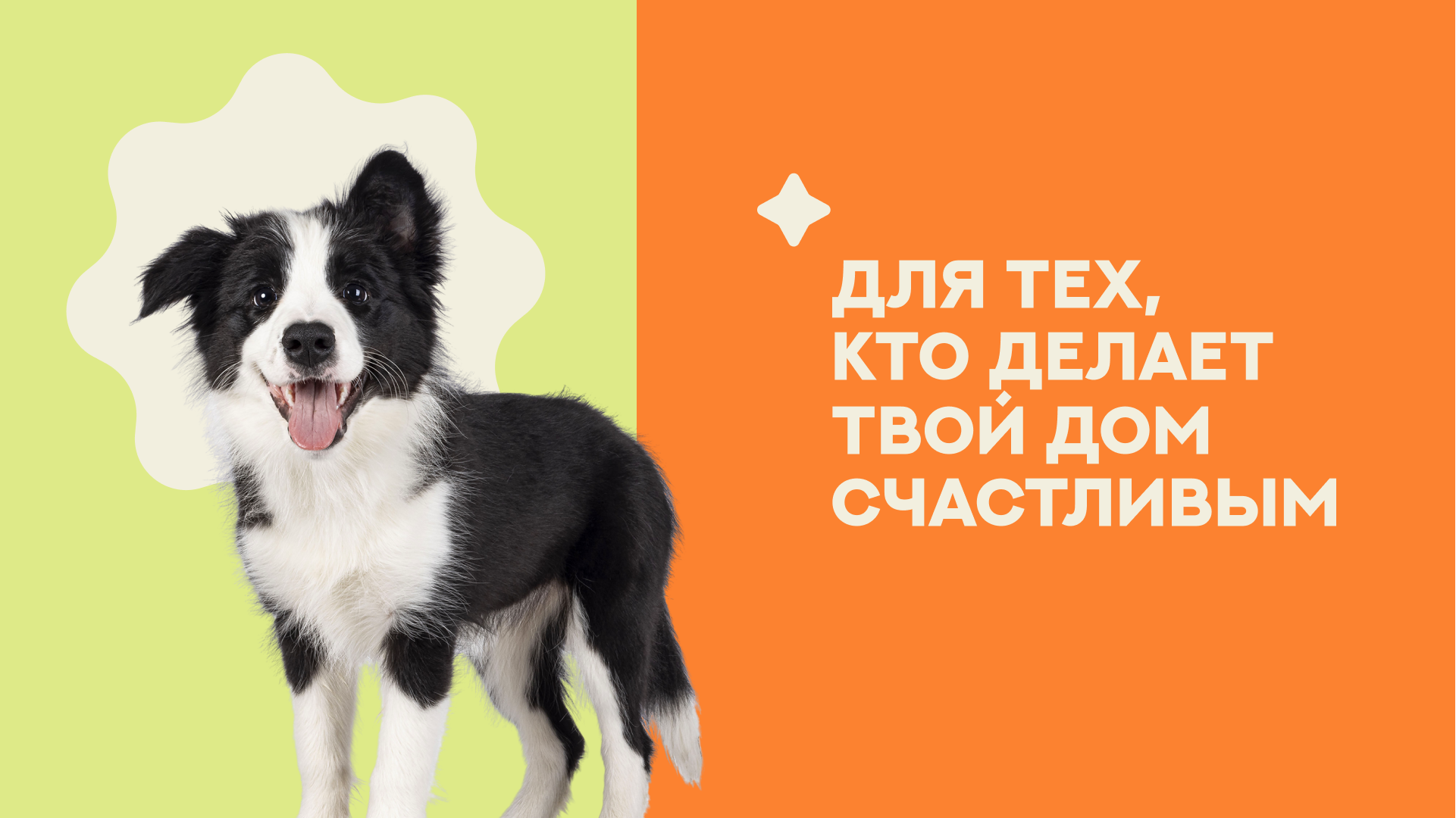 Vira | Логотип и фирменный стиль — Изображение №12 — Брендинг на Dprofile