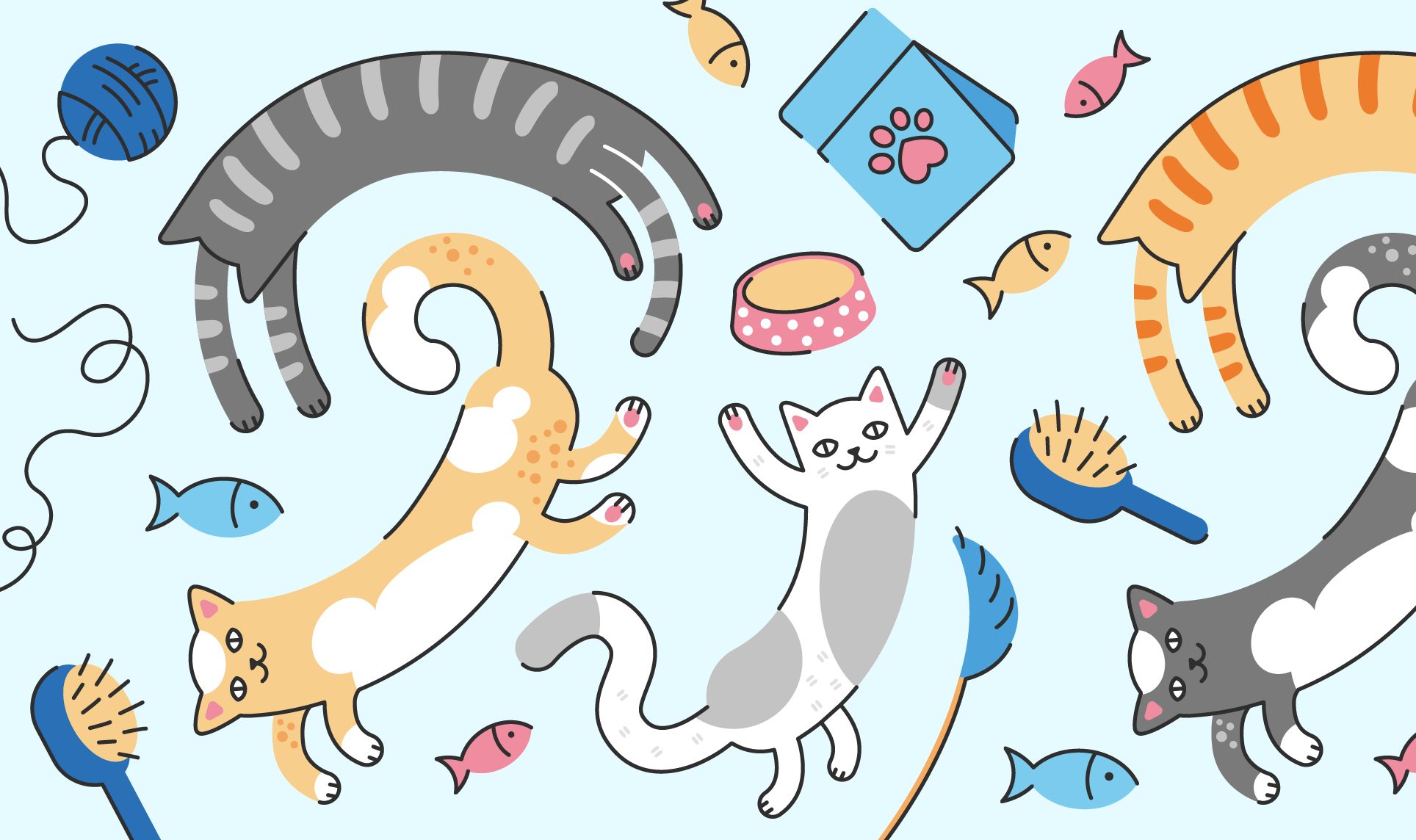 Мерч МУРКОША | merchandise for cat adoption center — Изображение №1 — Брендинг, Иллюстрация на Dprofile