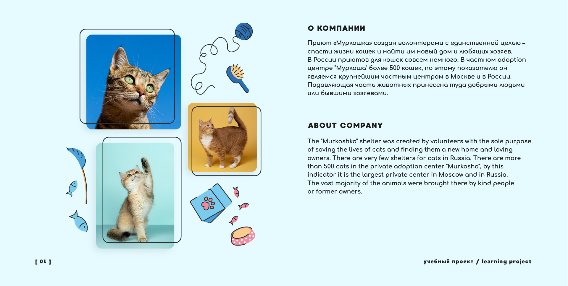 Мерч МУРКОША | merchandise for cat adoption center — Изображение №3 — Брендинг, Иллюстрация на Dprofile