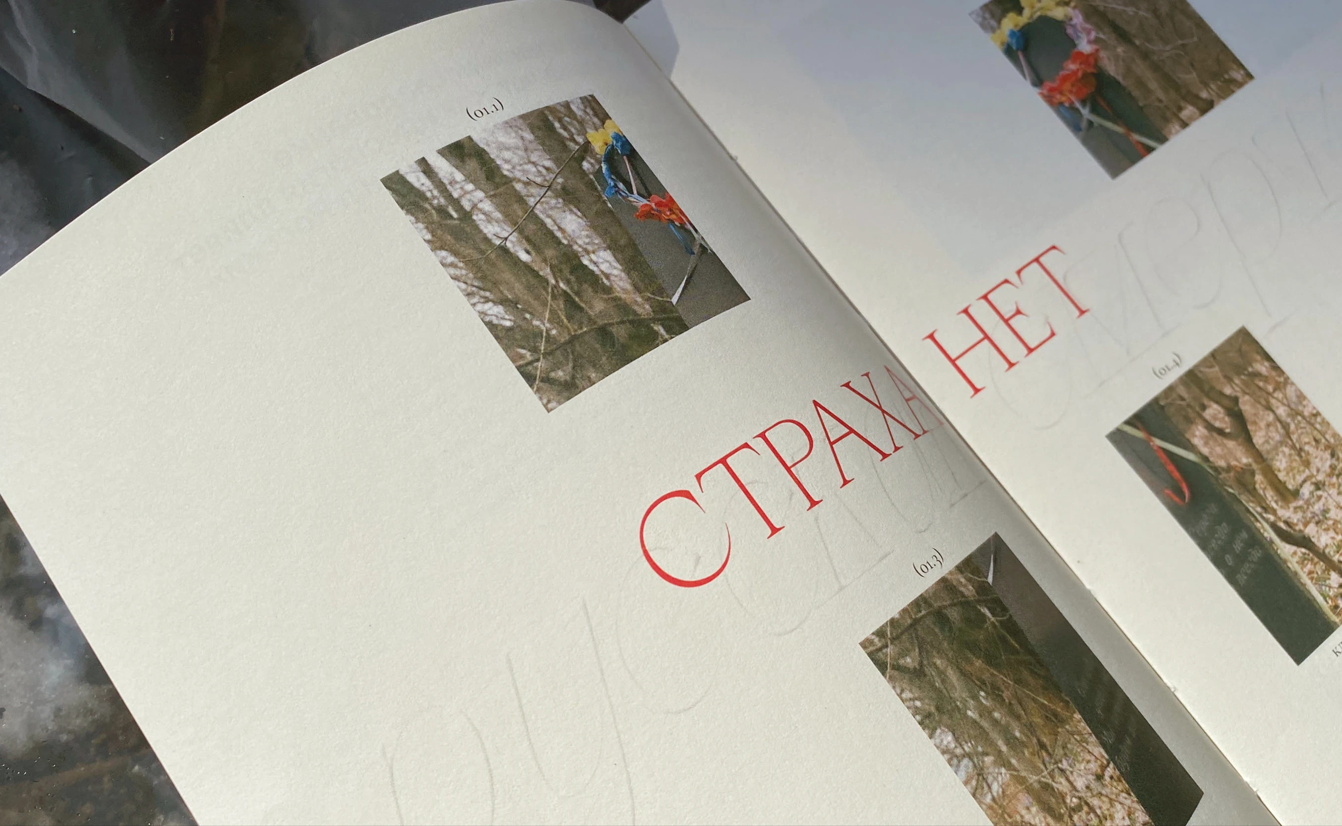 книга "страха нет" — Изображение №14 — Графика на Dprofile
