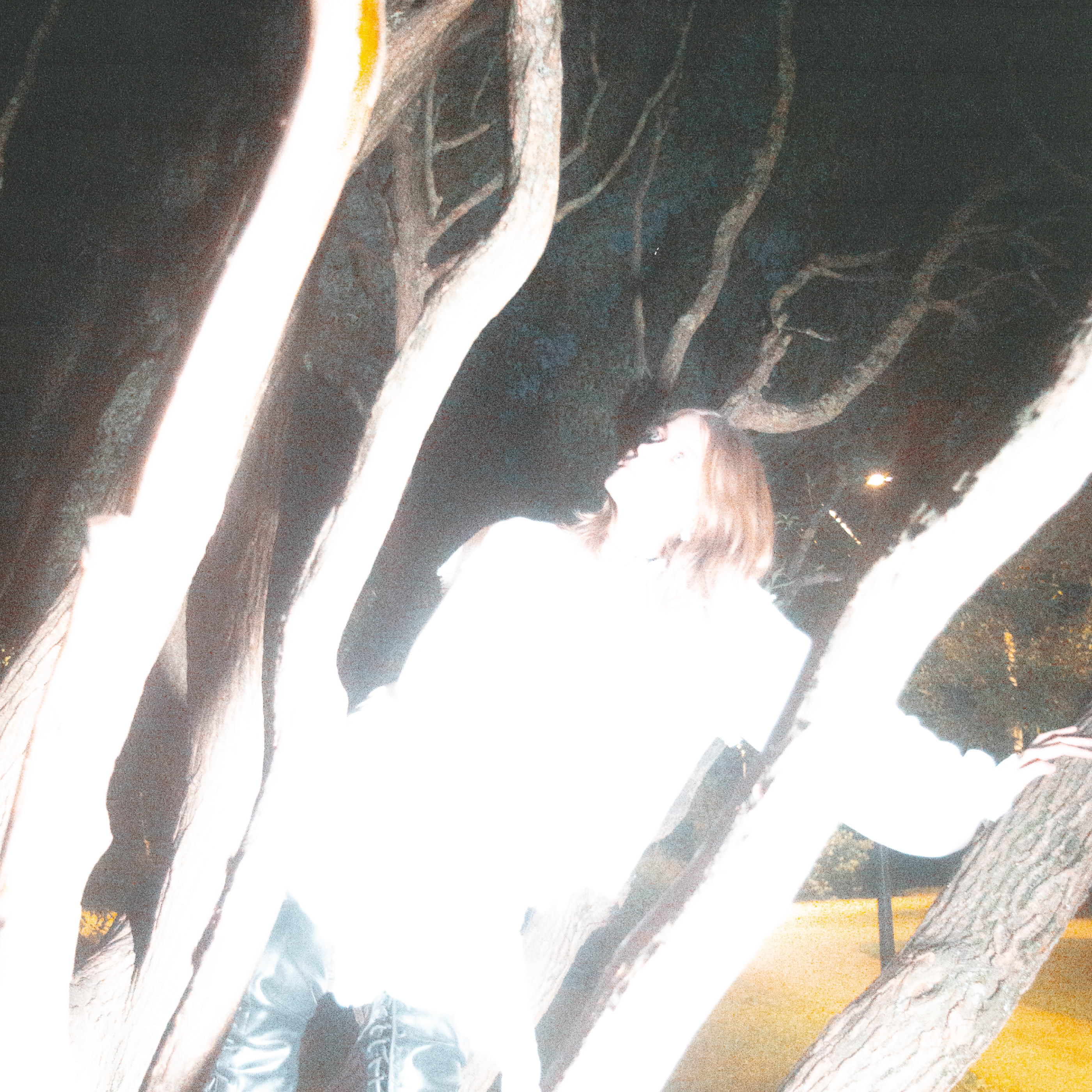 брендинг для альбома xvostik "Forest Eyes" — Изображение №14 — Брендинг, Графика на Dprofile