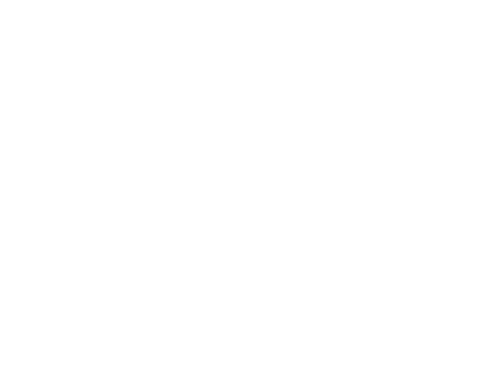 брендинг для альбома xvostik "Forest Eyes" — Изображение №16 — Брендинг, Графика на Dprofile