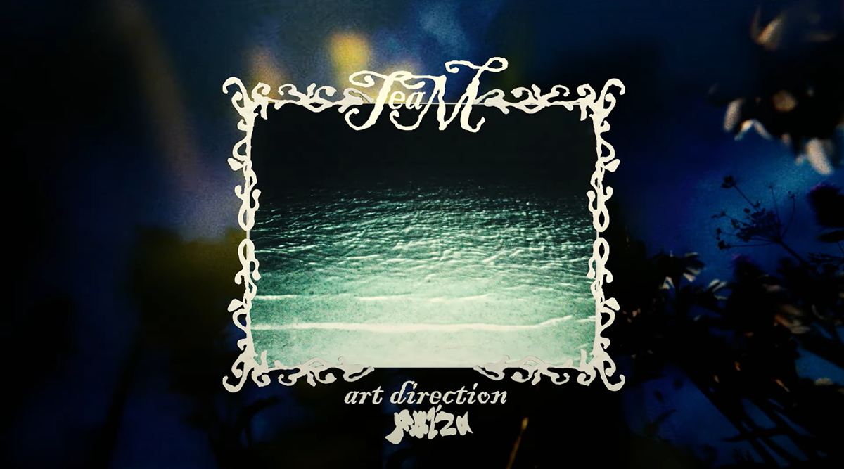 брендинг для альбома xvostik "Forest Eyes" — Изображение №22 — Брендинг, Графика на Dprofile