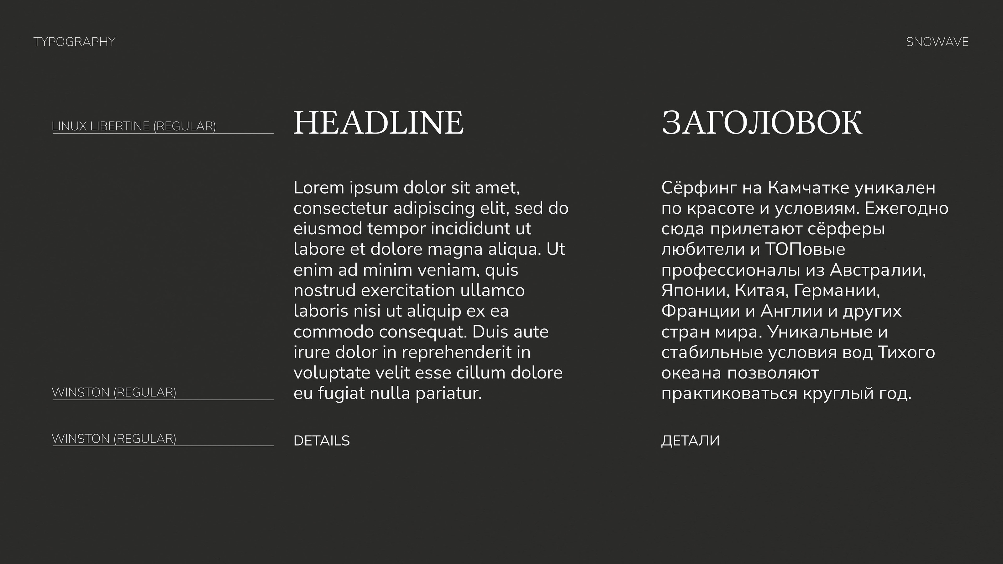 SNOWAVE KAMCHATKA SURF SCHOOL THE BRAND IDENTITY — Изображение №6 — Брендинг на Dprofile