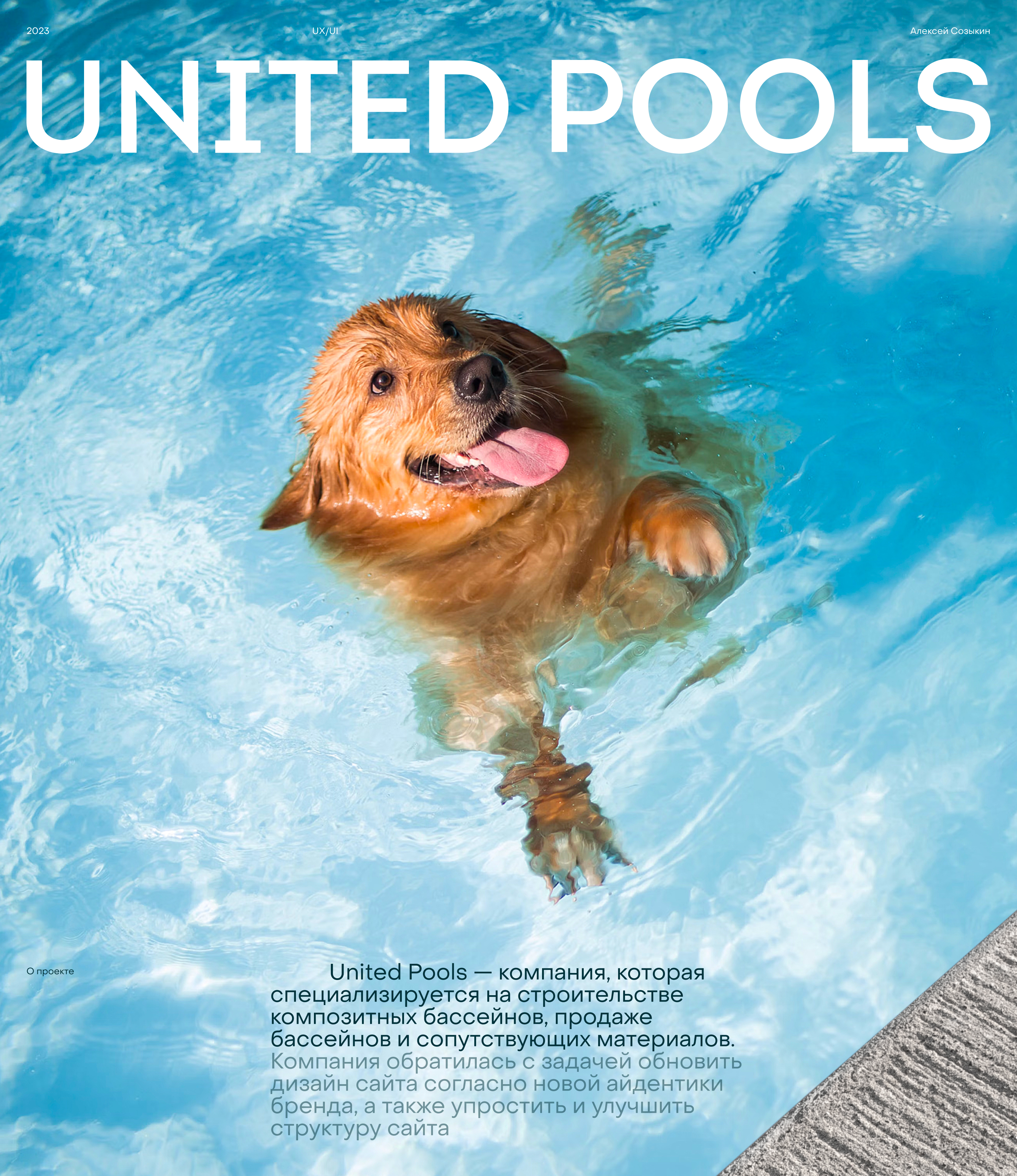 United Pools — Изображение №1 — Интерфейсы на Dprofile