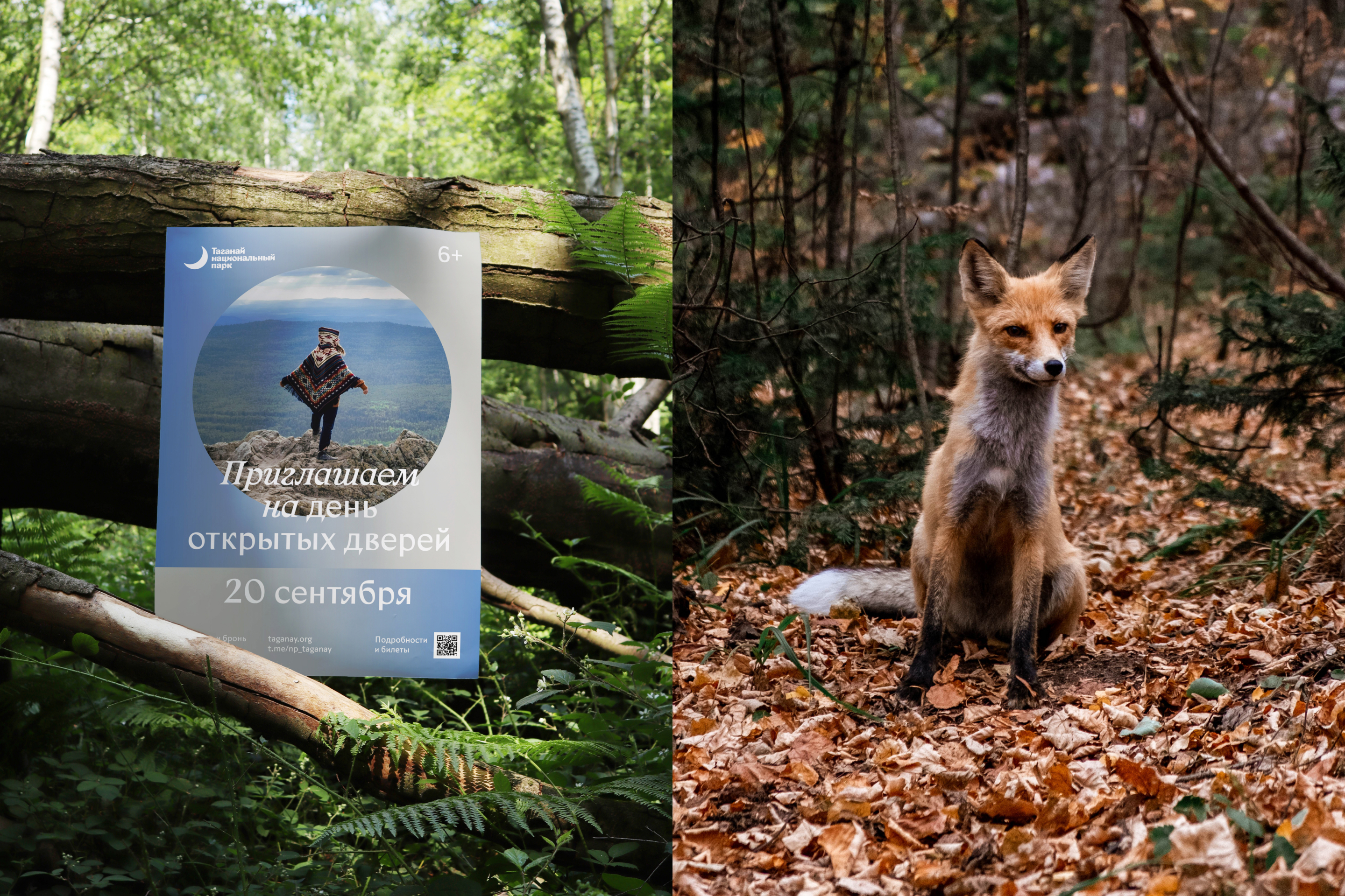 Taganay National Park Brand Identity — Изображение №10 — Брендинг на Dprofile
