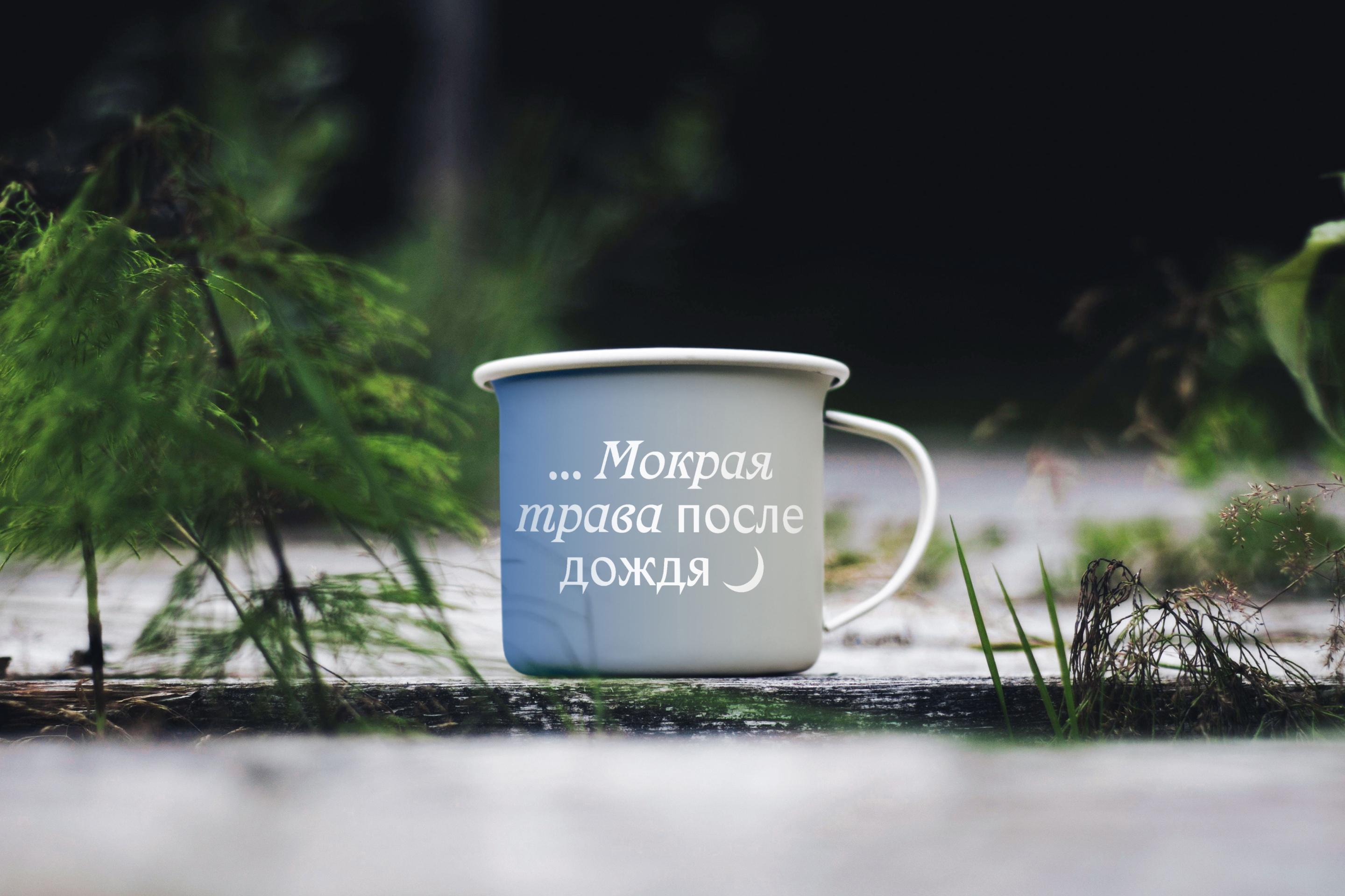 Taganay National Park Brand Identity — Изображение №6 — Брендинг на Dprofile