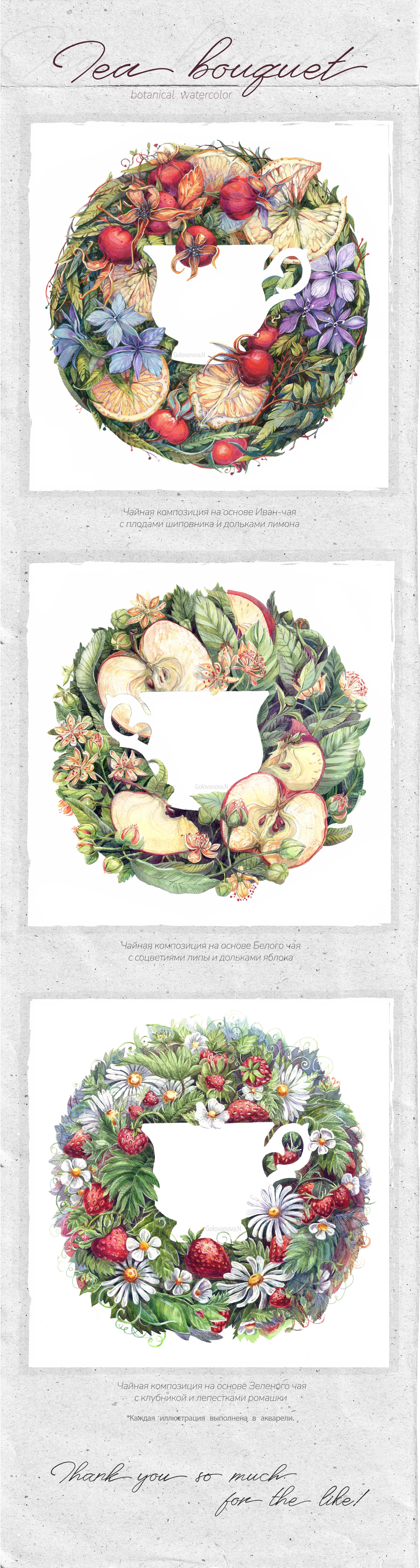 Botanical watercolor/ Tea bouquet — Изображение №1 — Иллюстрация, Графика на Dprofile