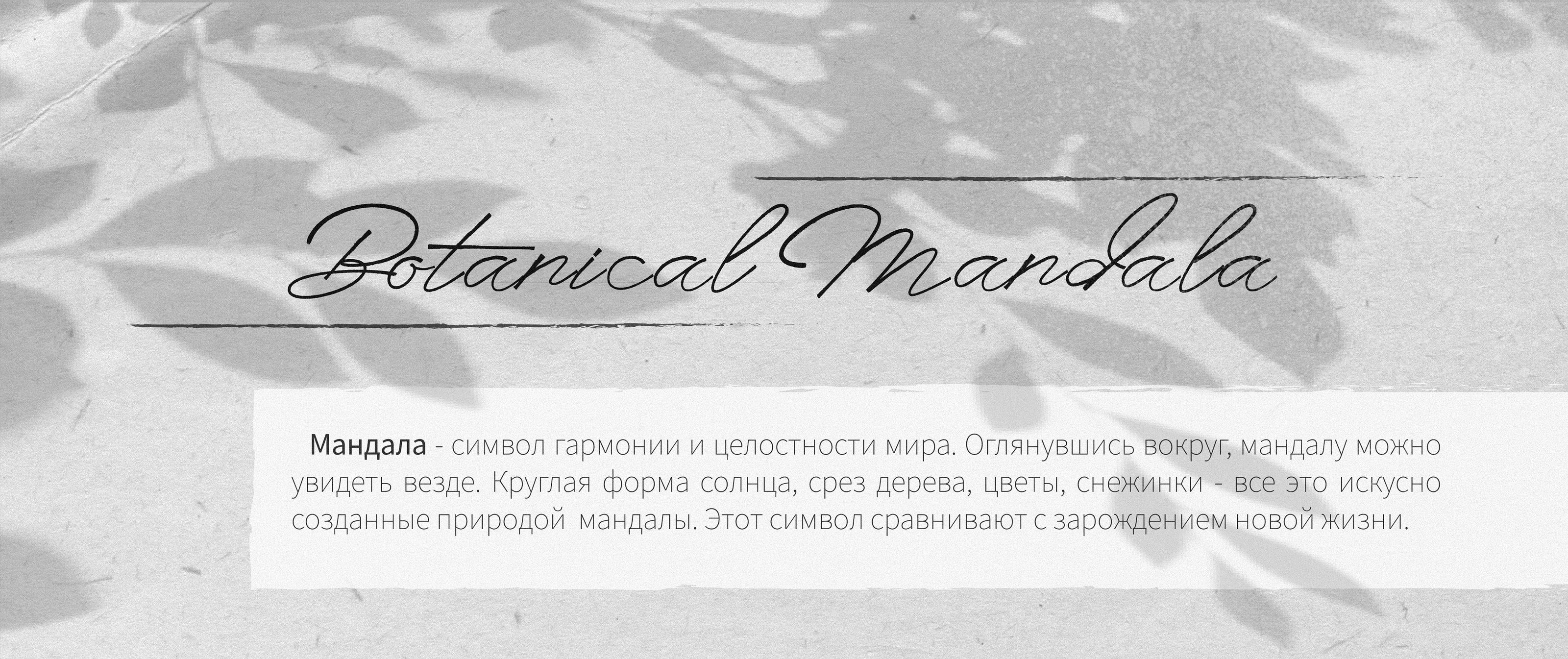 Botanical Mandala (Illustration) — Изображение №1 — Иллюстрация, Графика на Dprofile