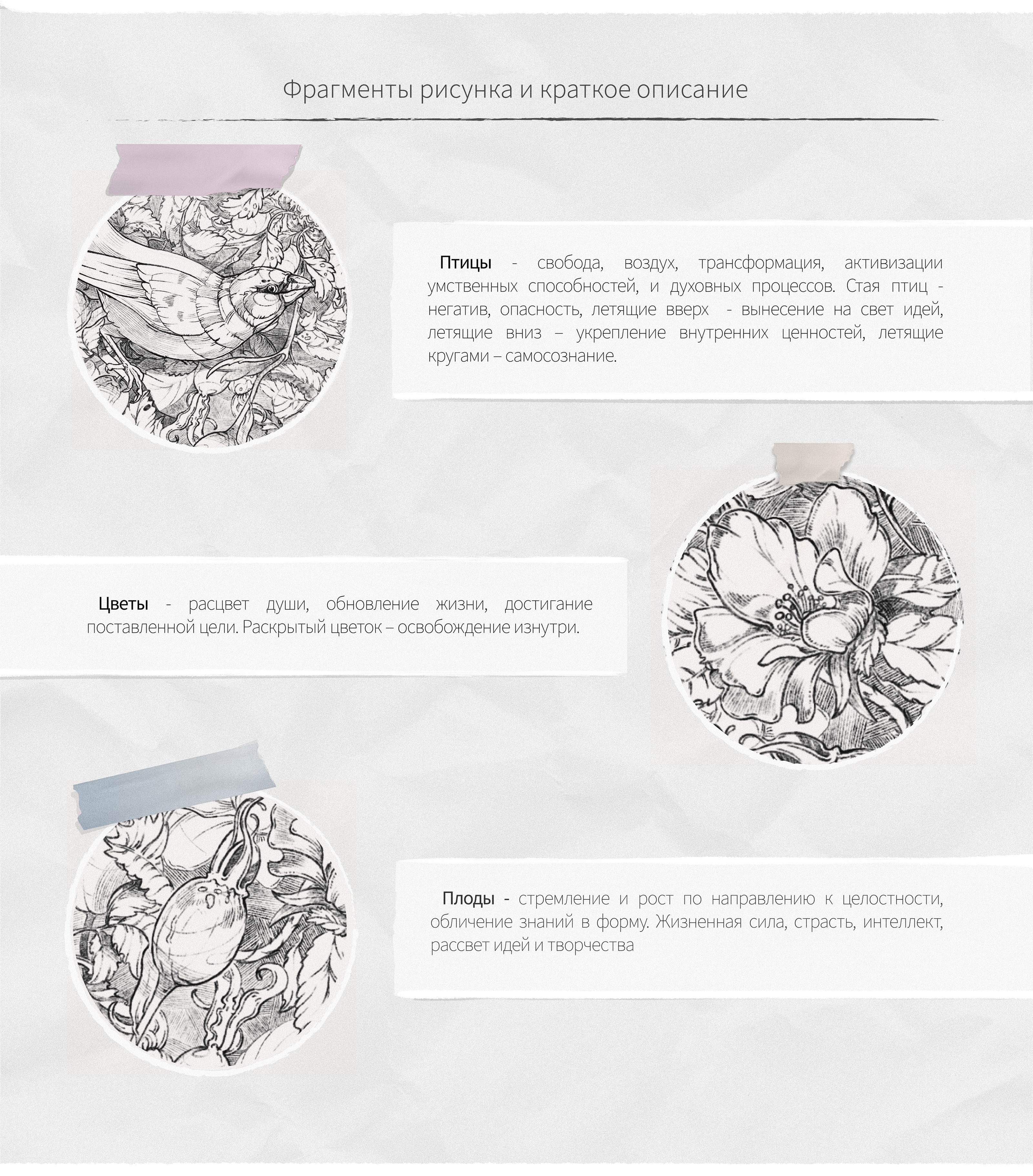 Botanical Mandala (Illustration) — Изображение №3 — Иллюстрация, Графика на Dprofile