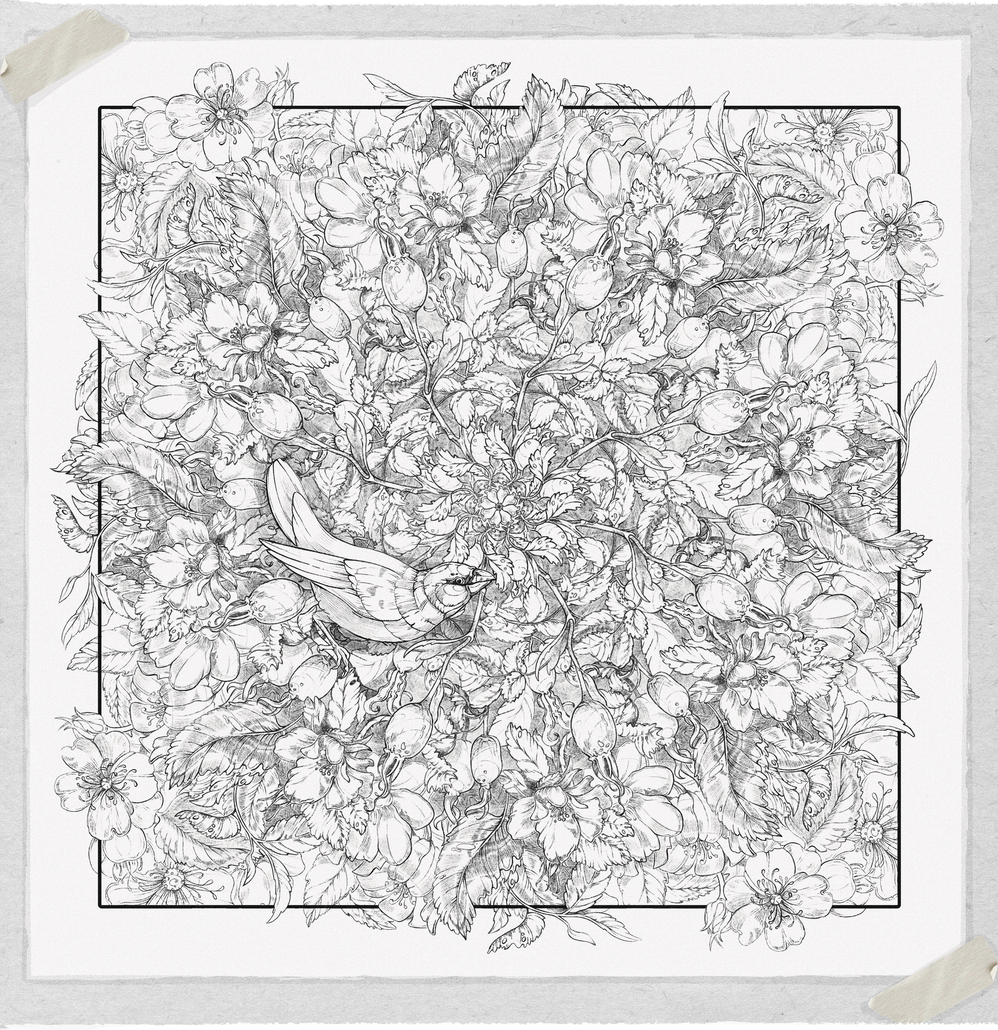 Botanical Mandala (Illustration) — Изображение №2 — Иллюстрация, Графика на Dprofile