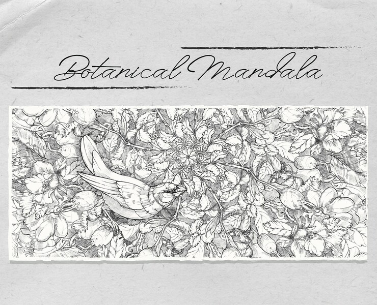 Botanical Mandala (Illustration) — Иллюстрация, Графика на Dprofile