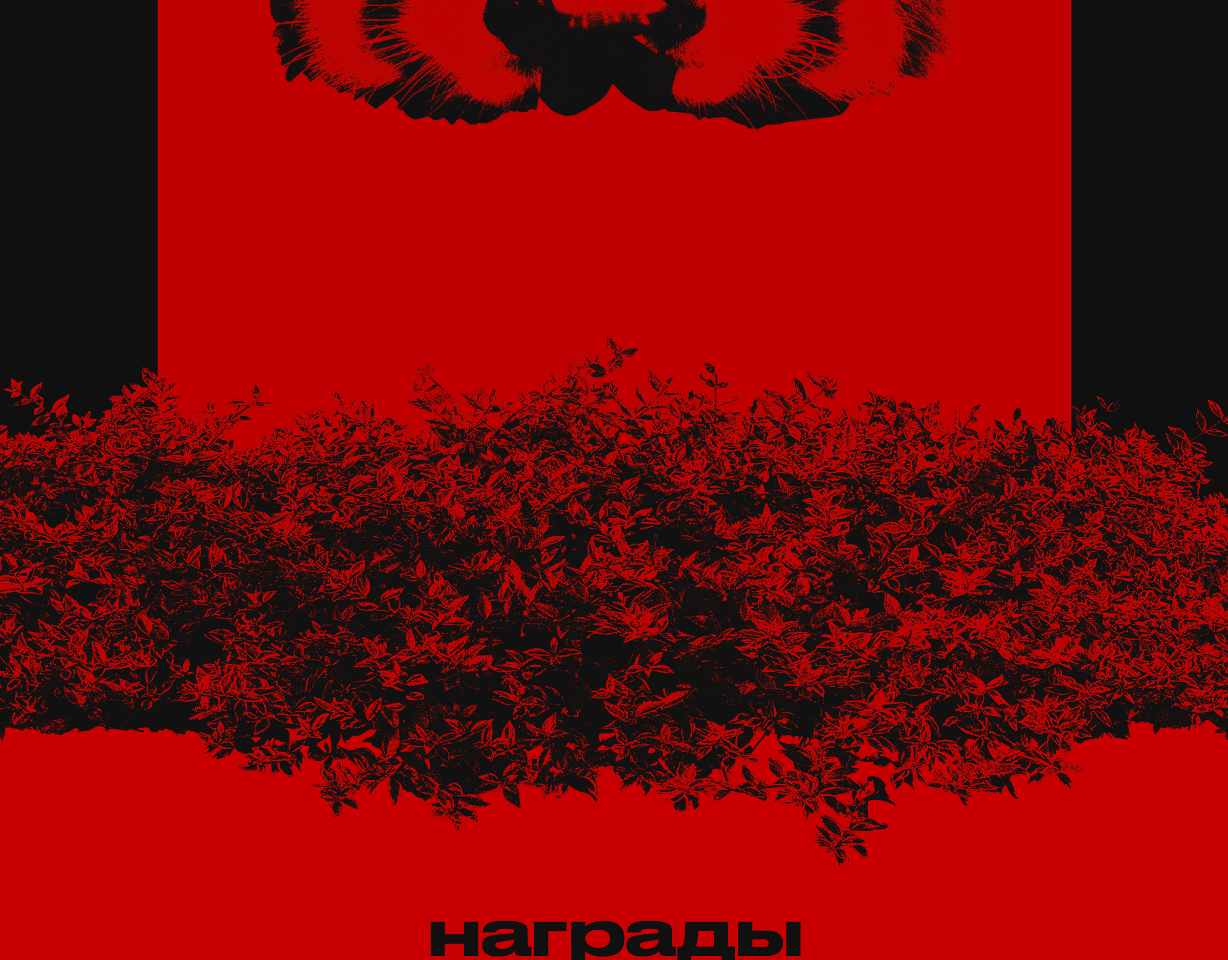 КРАСНАЯ ПАНДА. Персональный сайт красной жопки — Изображение №9 — Интерфейсы, Анимация на Dprofile