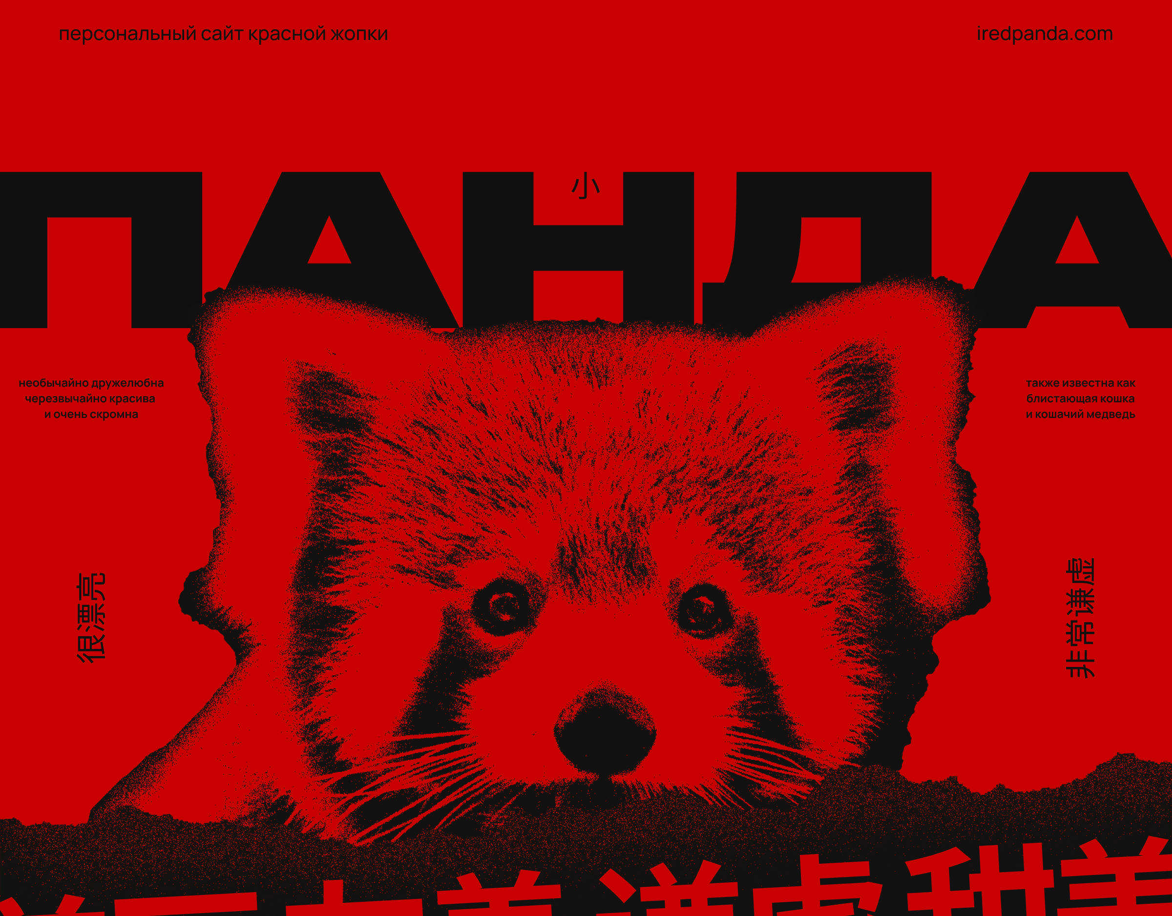 КРАСНАЯ ПАНДА. Персональный сайт красной жопки — Изображение №1 — Интерфейсы, Анимация на Dprofile