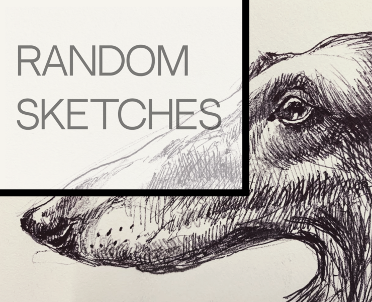 Animal sketches 2022 — Иллюстрация на Dprofile