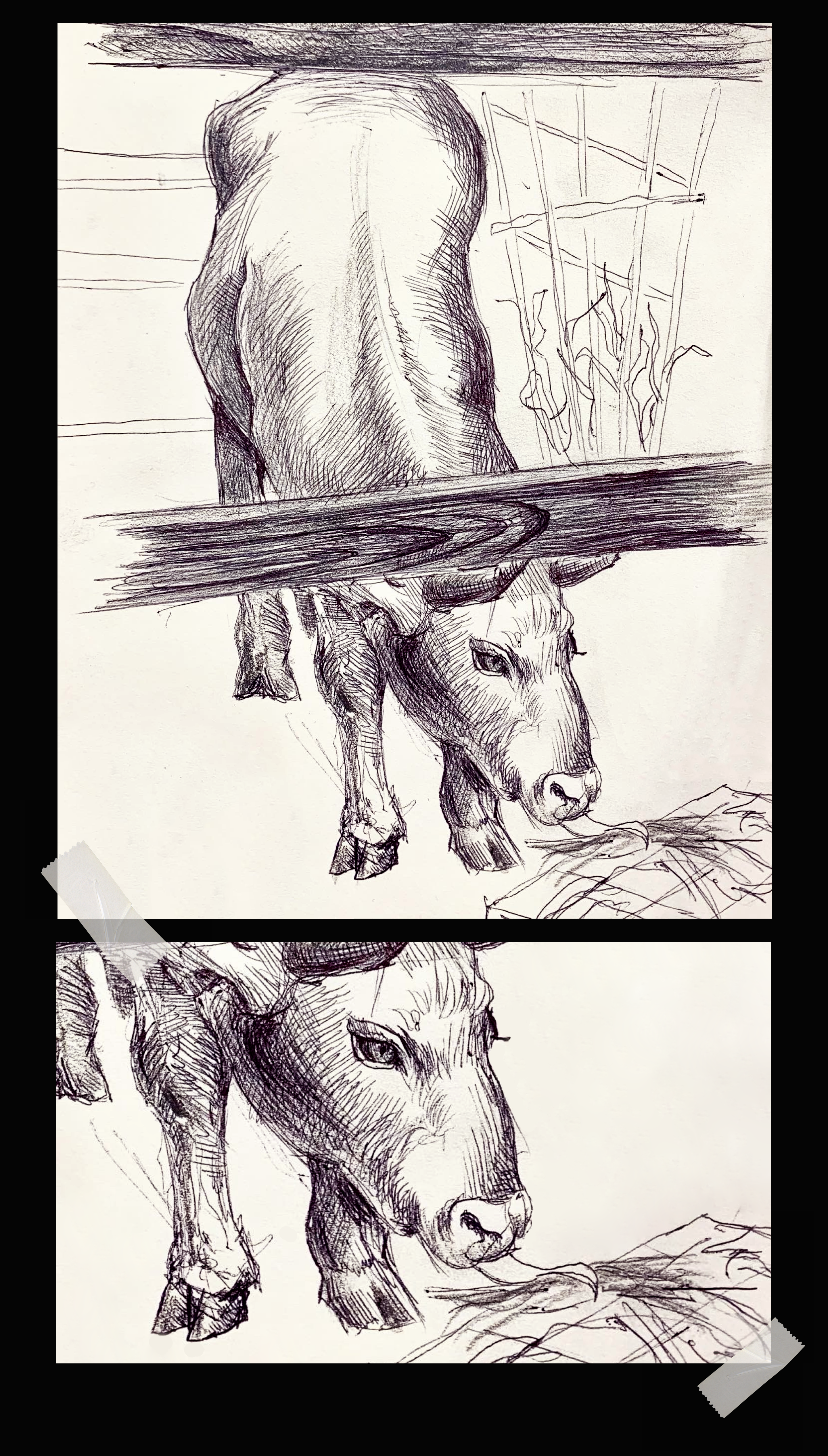 Animal sketches 2022 — Изображение №8 — Иллюстрация на Dprofile