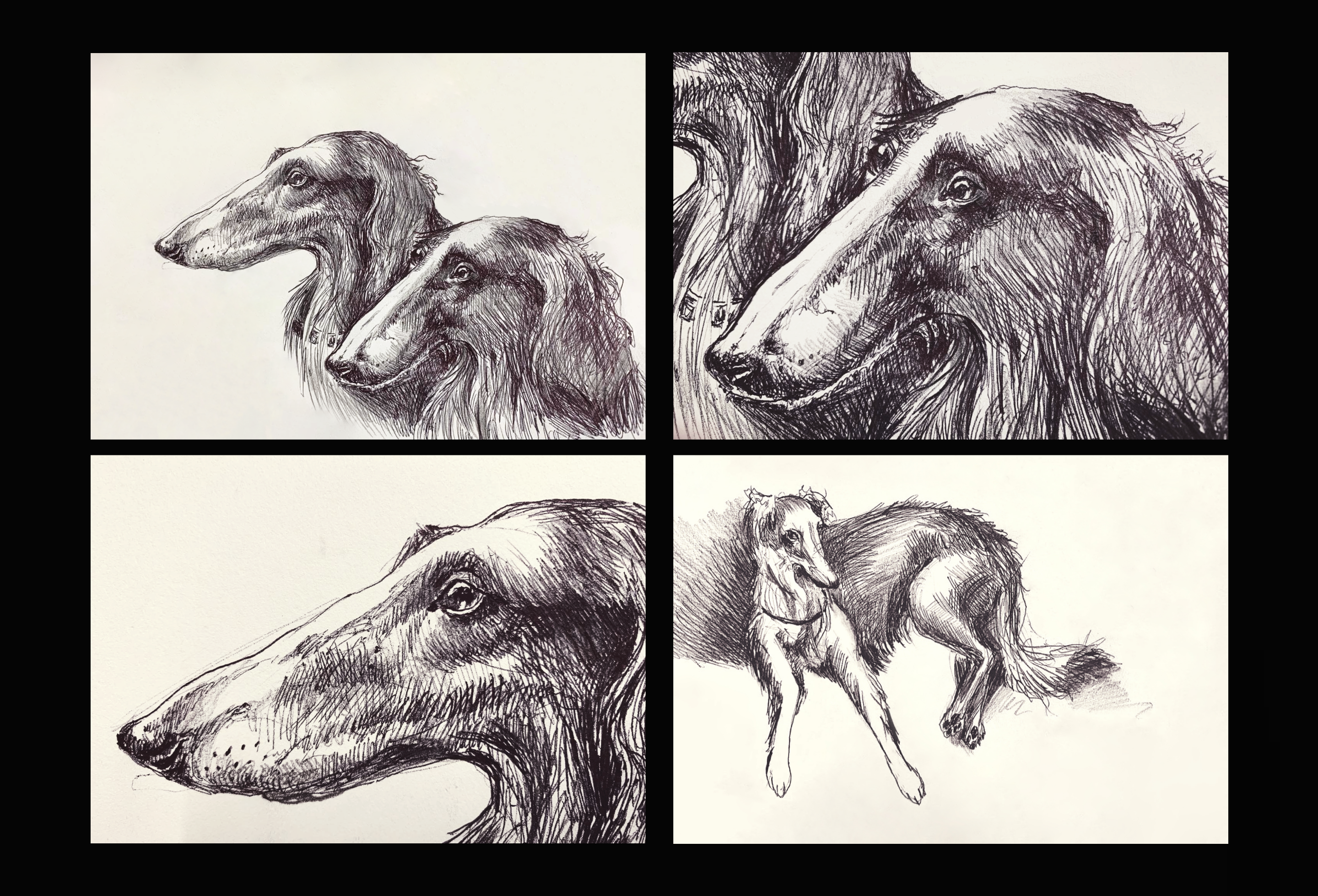 Animal sketches 2022 — Изображение №4 — Иллюстрация на Dprofile