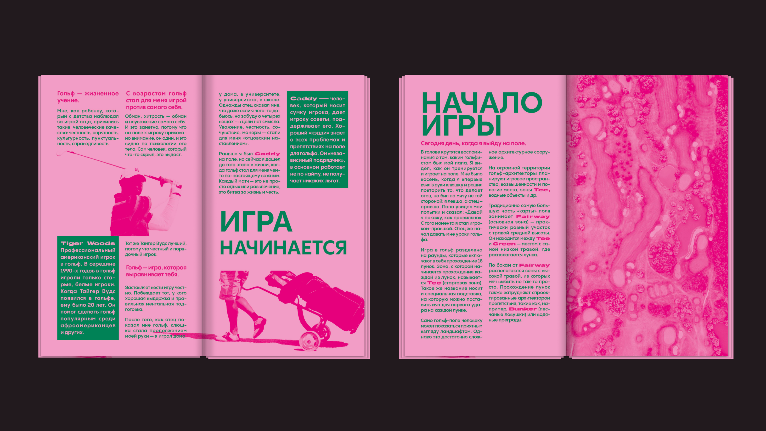 Визуальное исследование "GOLF" — Изображение №4 — Графика на Dprofile