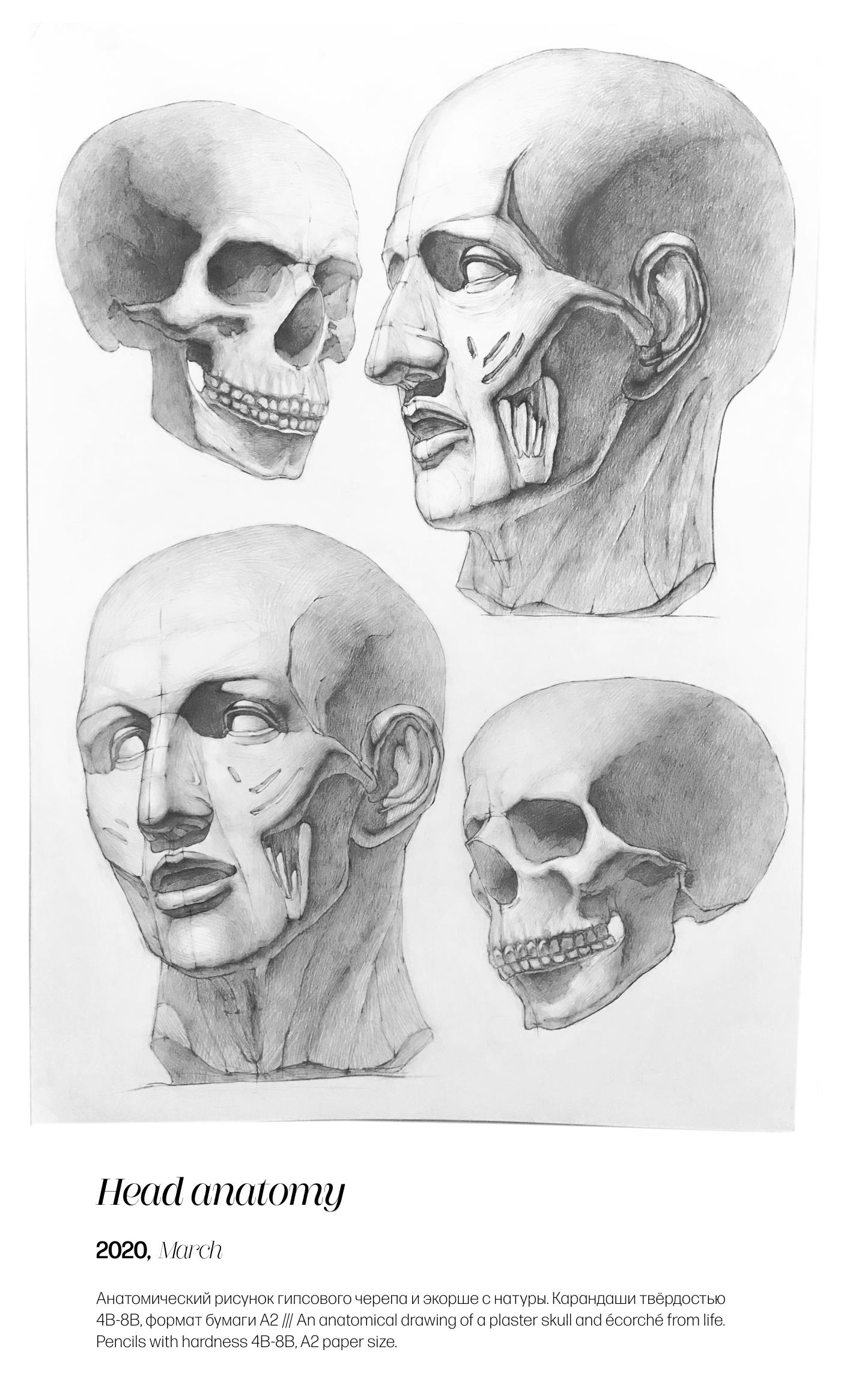 academic drawings — Изображение №14 — Иллюстрация, Графика на Dprofile
