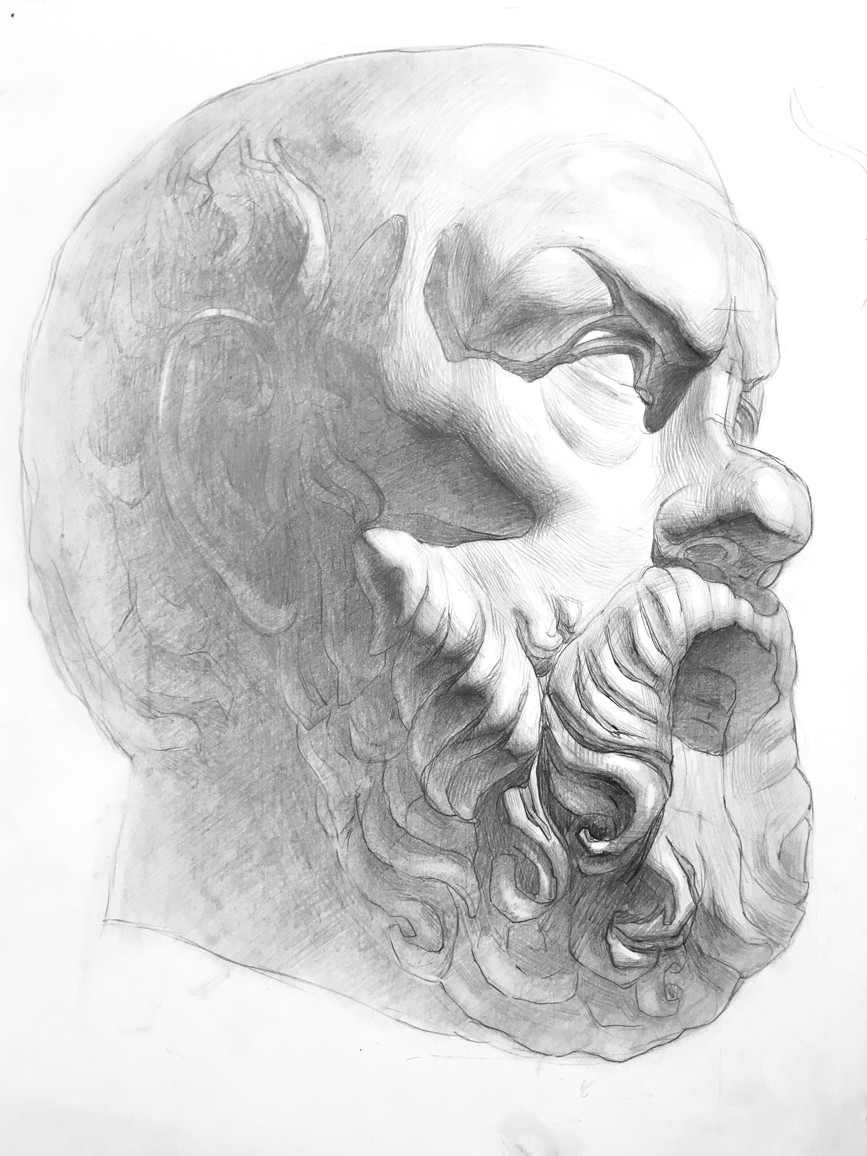 academic drawings — Изображение №5 — Иллюстрация, Графика на Dprofile