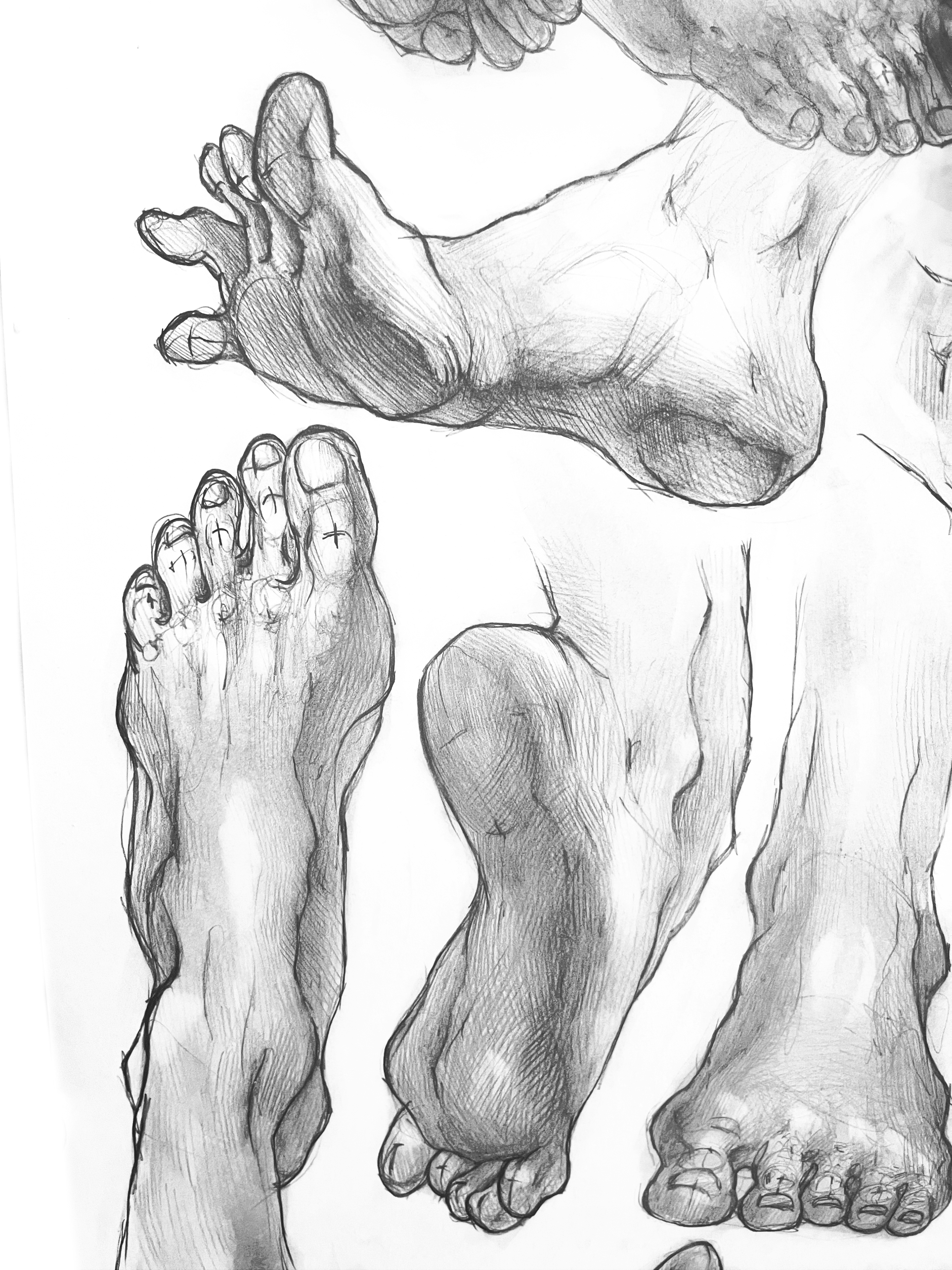 academic drawings — Изображение №22 — Иллюстрация, Графика на Dprofile