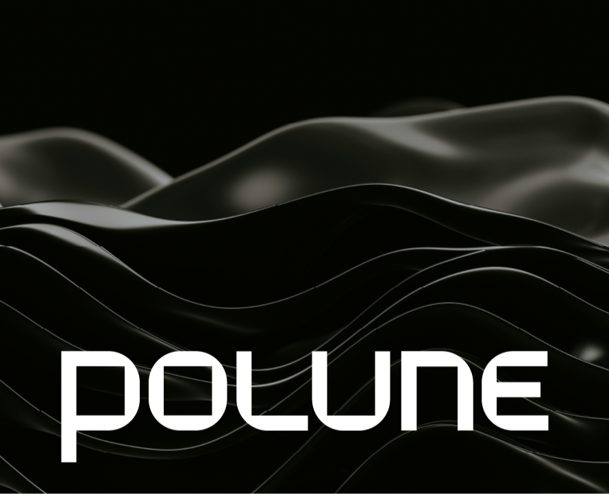 Фирменный стиль для polune — Брендинг на Dprofile