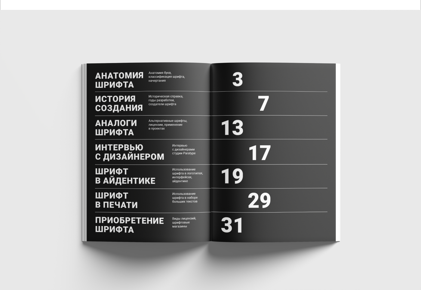 Журнал "TYPE" — Изображение №4 — Графика на Dprofile