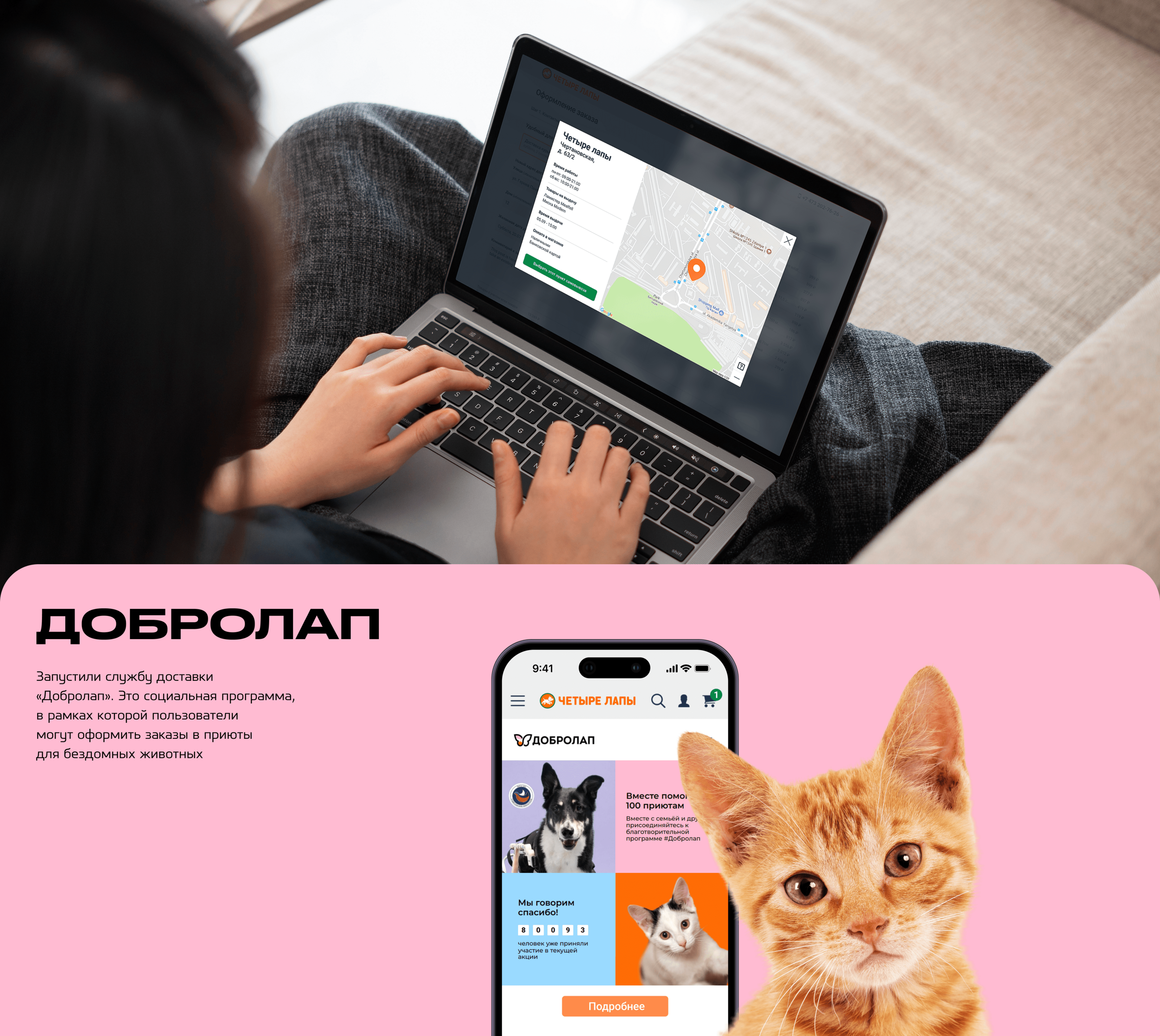 Интернет-магазин «Четыре лапы» — Изображение №7 — Интерфейсы на Dprofile
