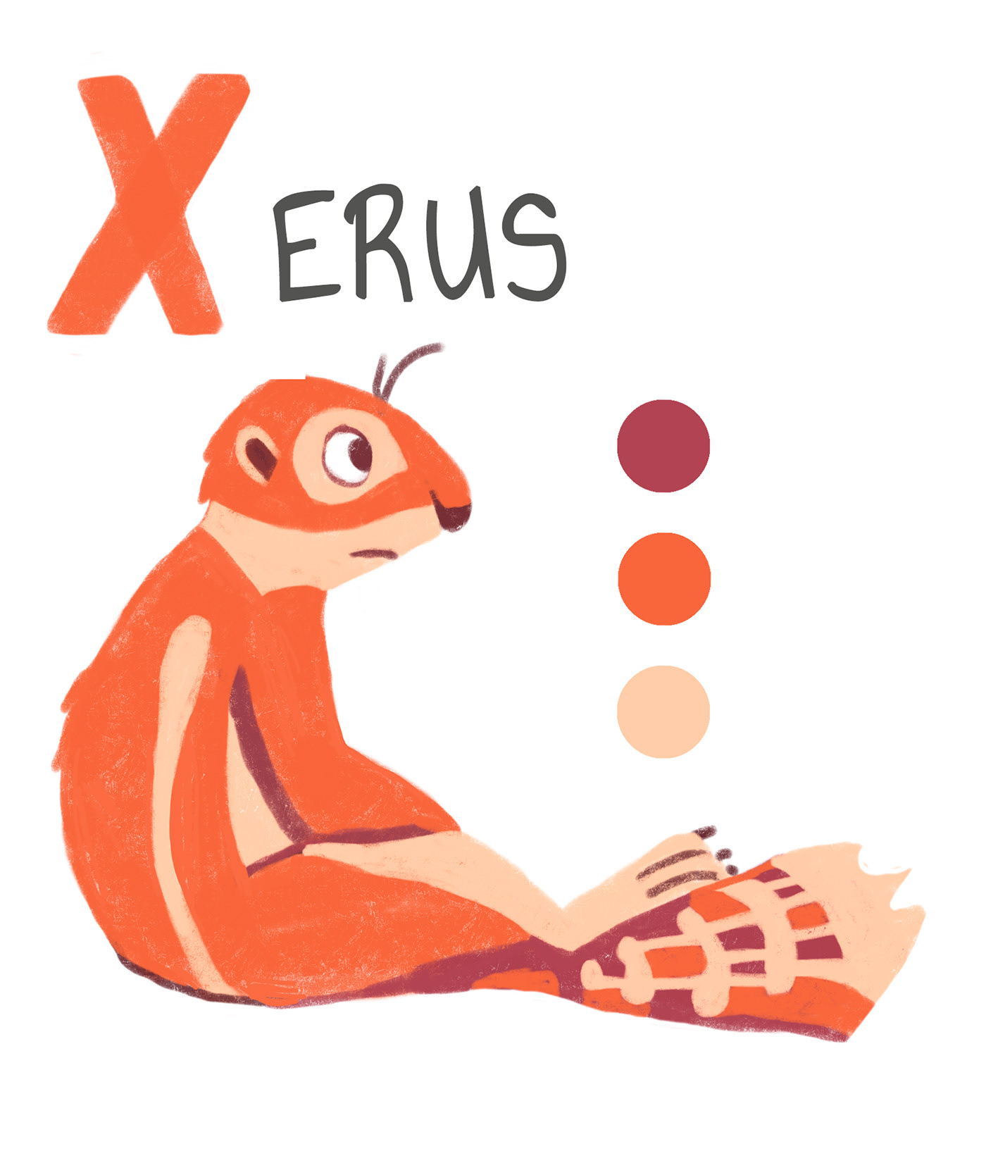 English animal alphabet — Изображение №9 — Иллюстрация, Графика на Dprofile